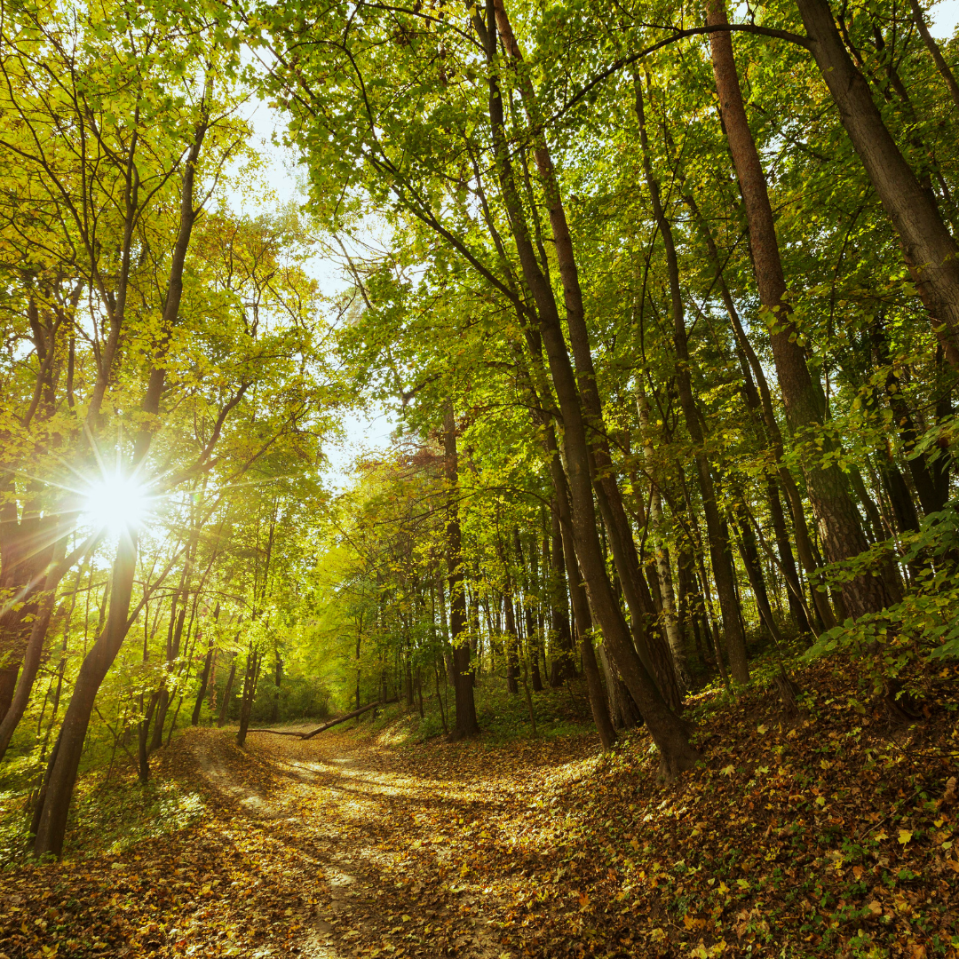 March Outdoor Gathering