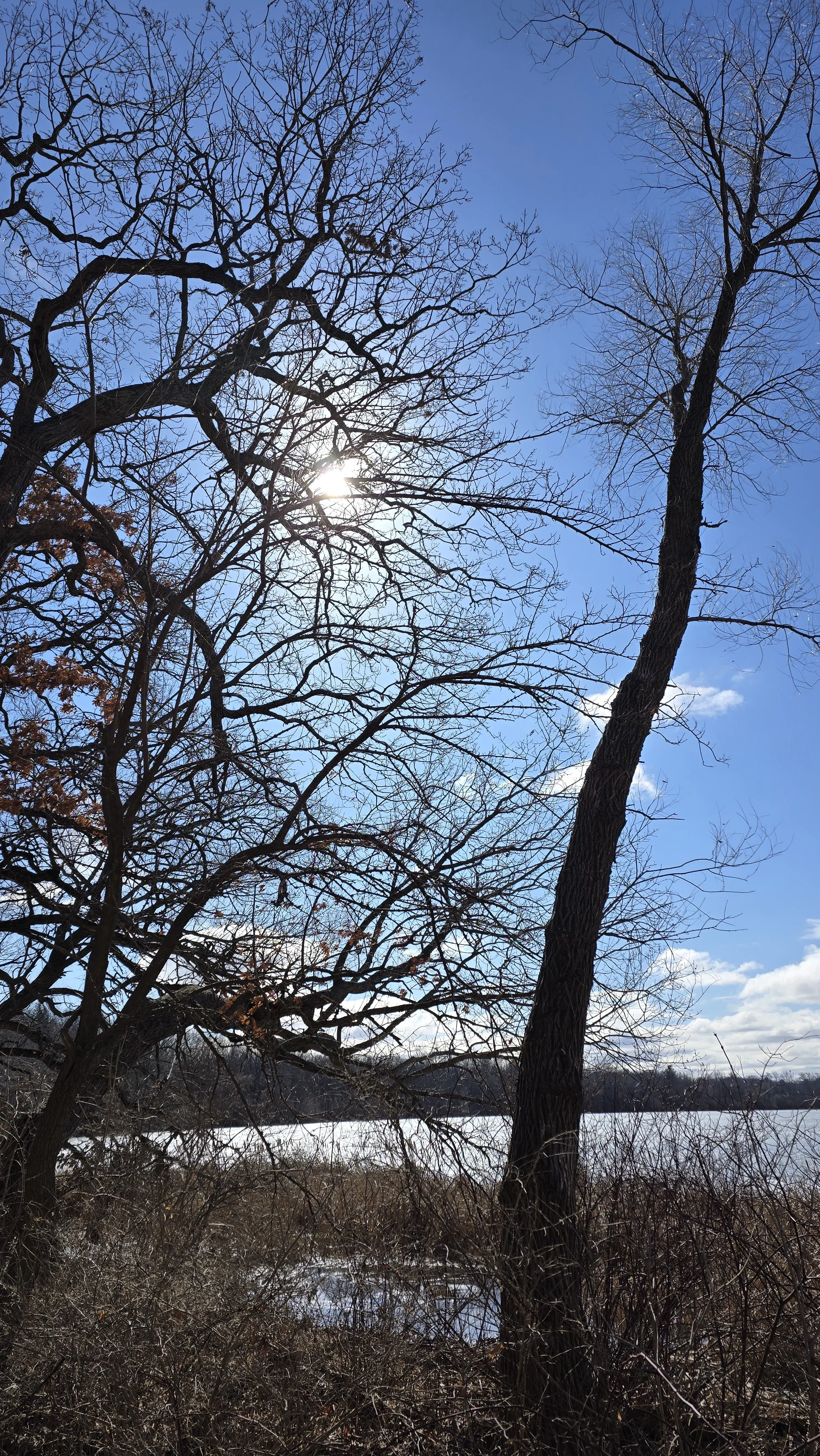 February 2026 - Outdoor Gathering