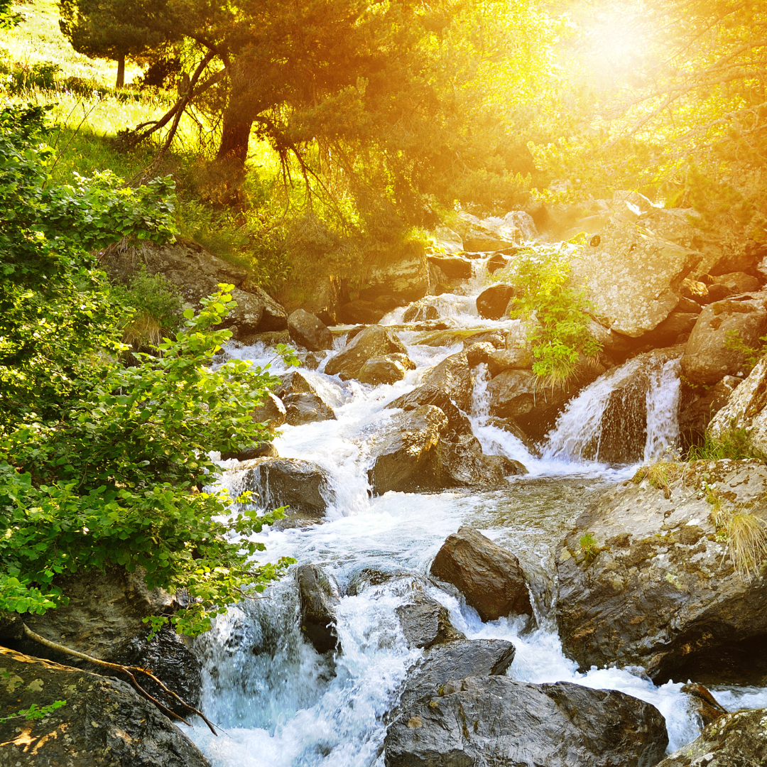 June Outdoor Gathering