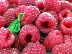 Raspberry2.jpg