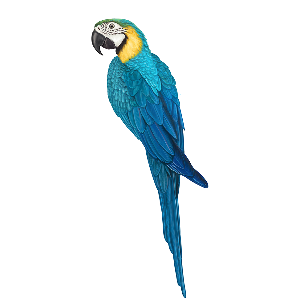 a0df9a66573991.5b1a6a10c6cc1.png