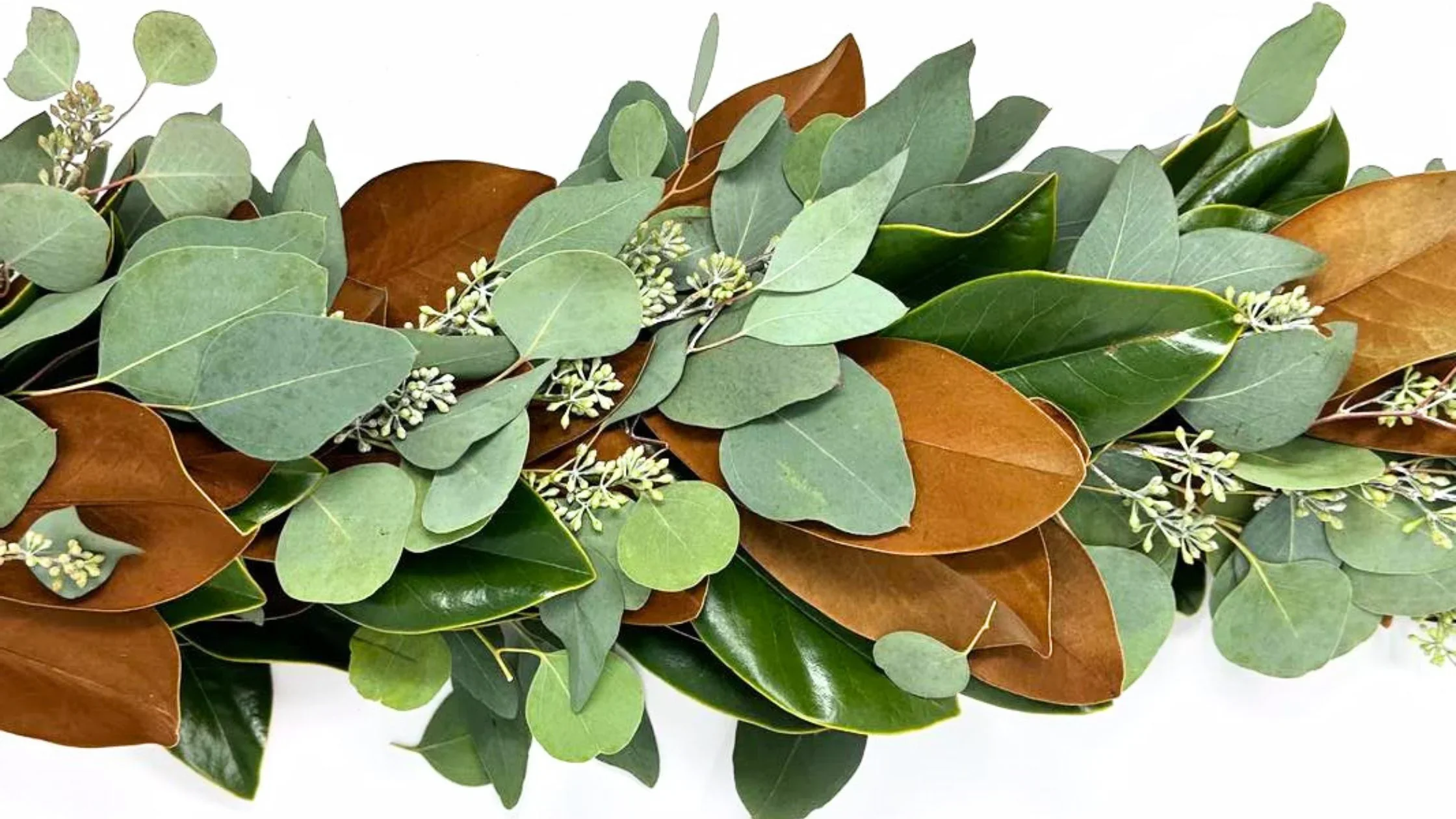 Arrangement of green and brown leaves with small white flowers on a white background.
