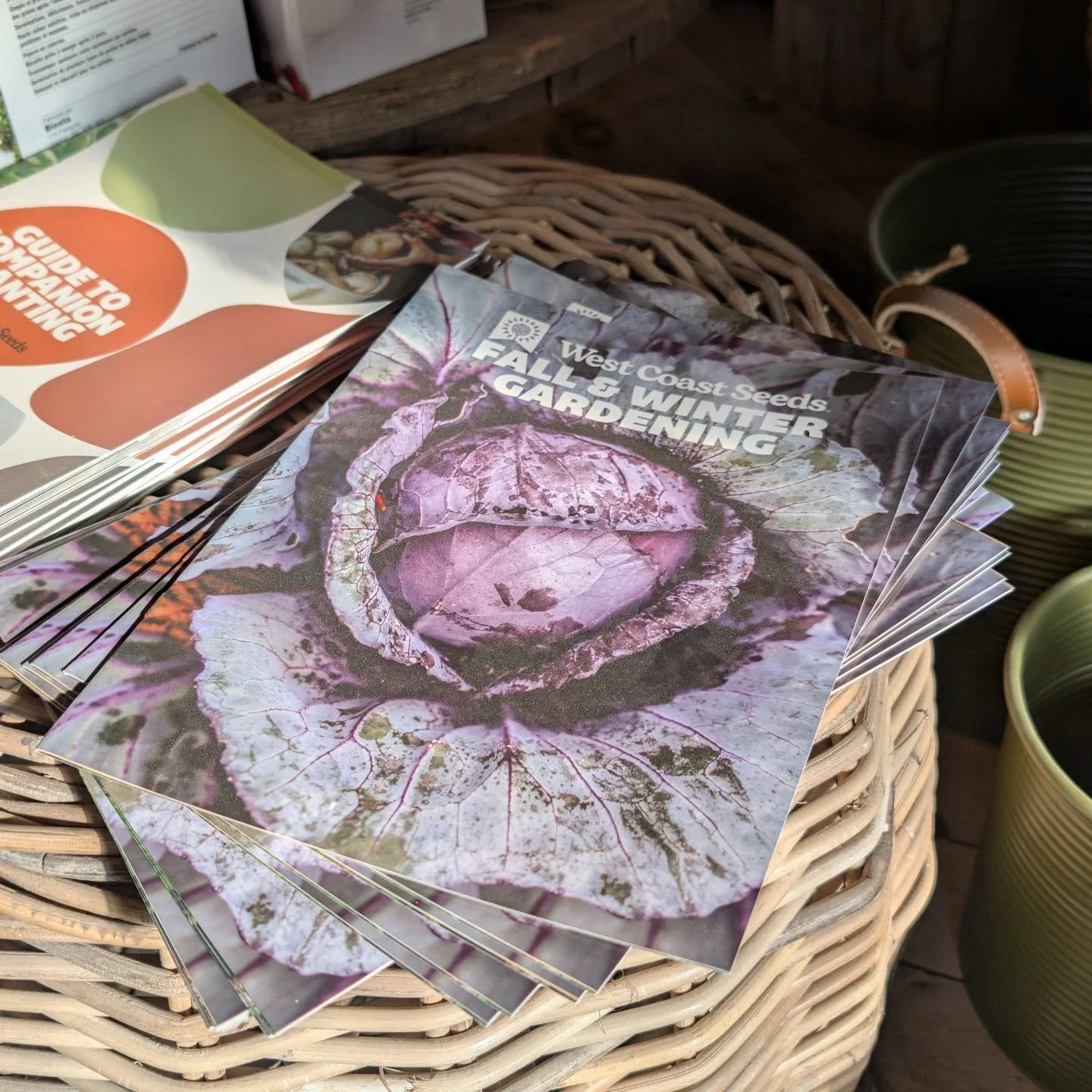 Pop in to chat with anyone on staff about how you can keep the gardening adventure going this fall. 
Bonus: no heat stress or drought!