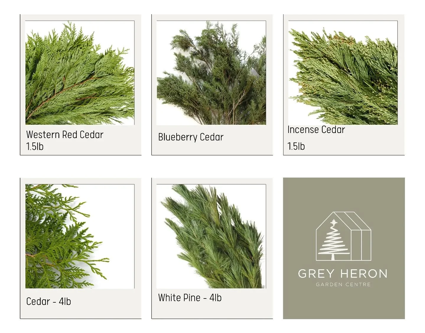 The greenery is here, and it's gorgeous. 
Create your tablescape, porch planter, garland and home decor with your personal combination of texture, colour, feel, and size.

If only your screen had smell-o-vision. It's dreamy.