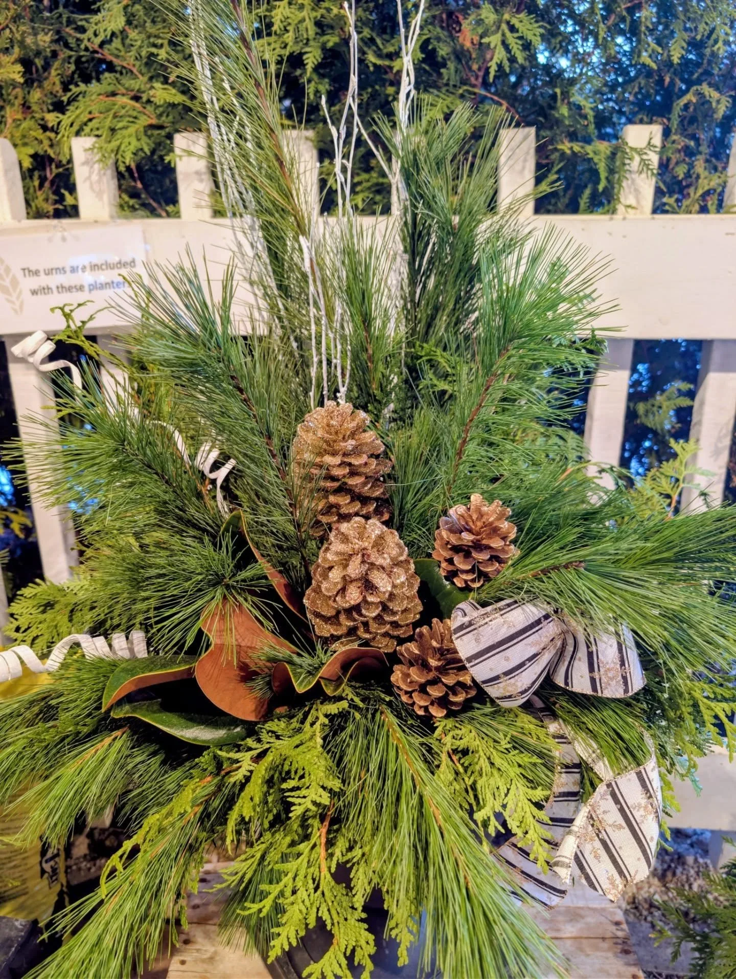 There's a reason people come from far and wide for our winter planters. They are known to be the best in the area for a reason: we have the most incredible magic elves (aka greenery artists) around! 
We are so lucky, and the results are these gorgeou