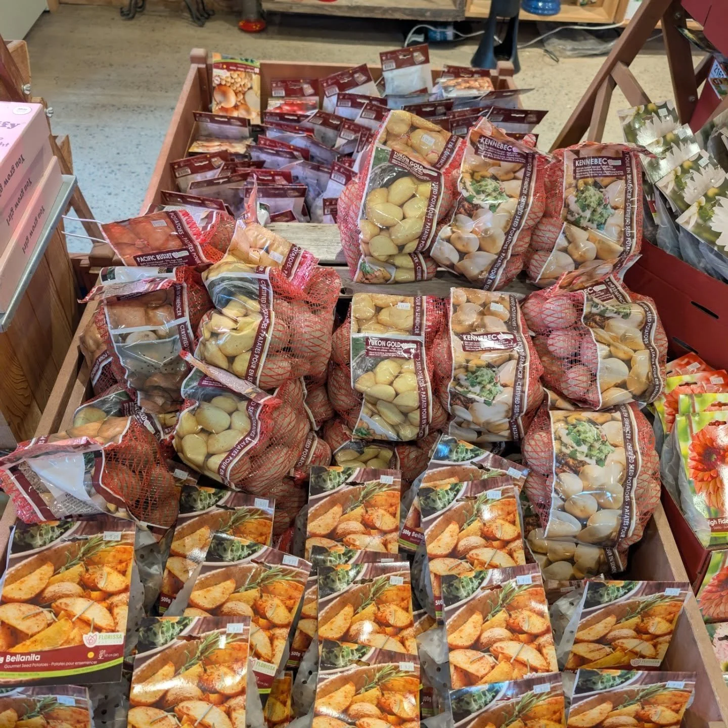 The only thing better than a plate of fries is a plate of fries that you grew yourself 🍟