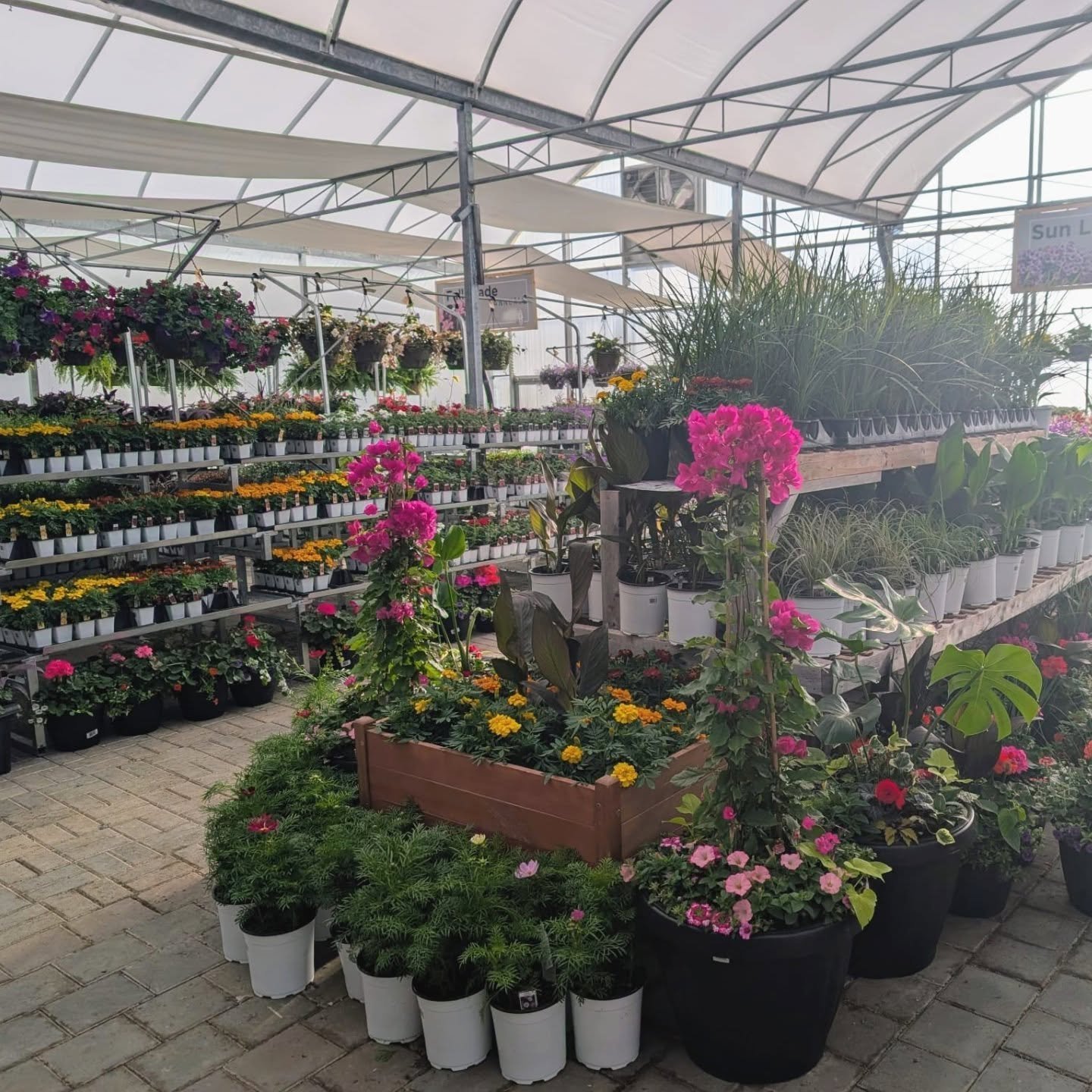 Any time spent in a greenhouse is time well spent for the soul 💚