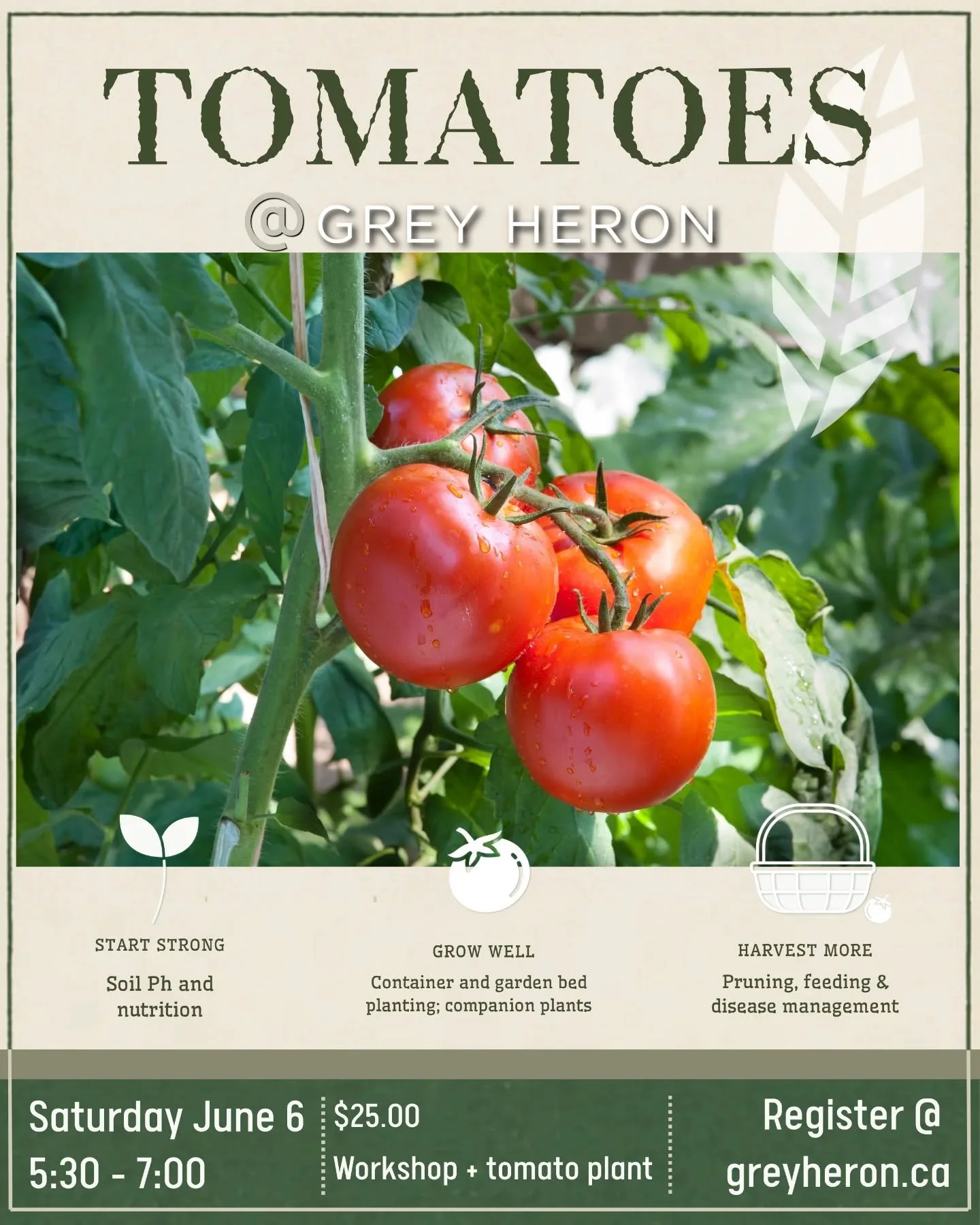 Learn from the experts, become a tomato master, and take home a tomato plant to put all your wisdom to use.

This will be a phenomenal workshop! We are so excited to be able to offer it. 
🍅 Saturday, June 6
🍅 5:30-7:00

Register at GreyHeron.ca

Li