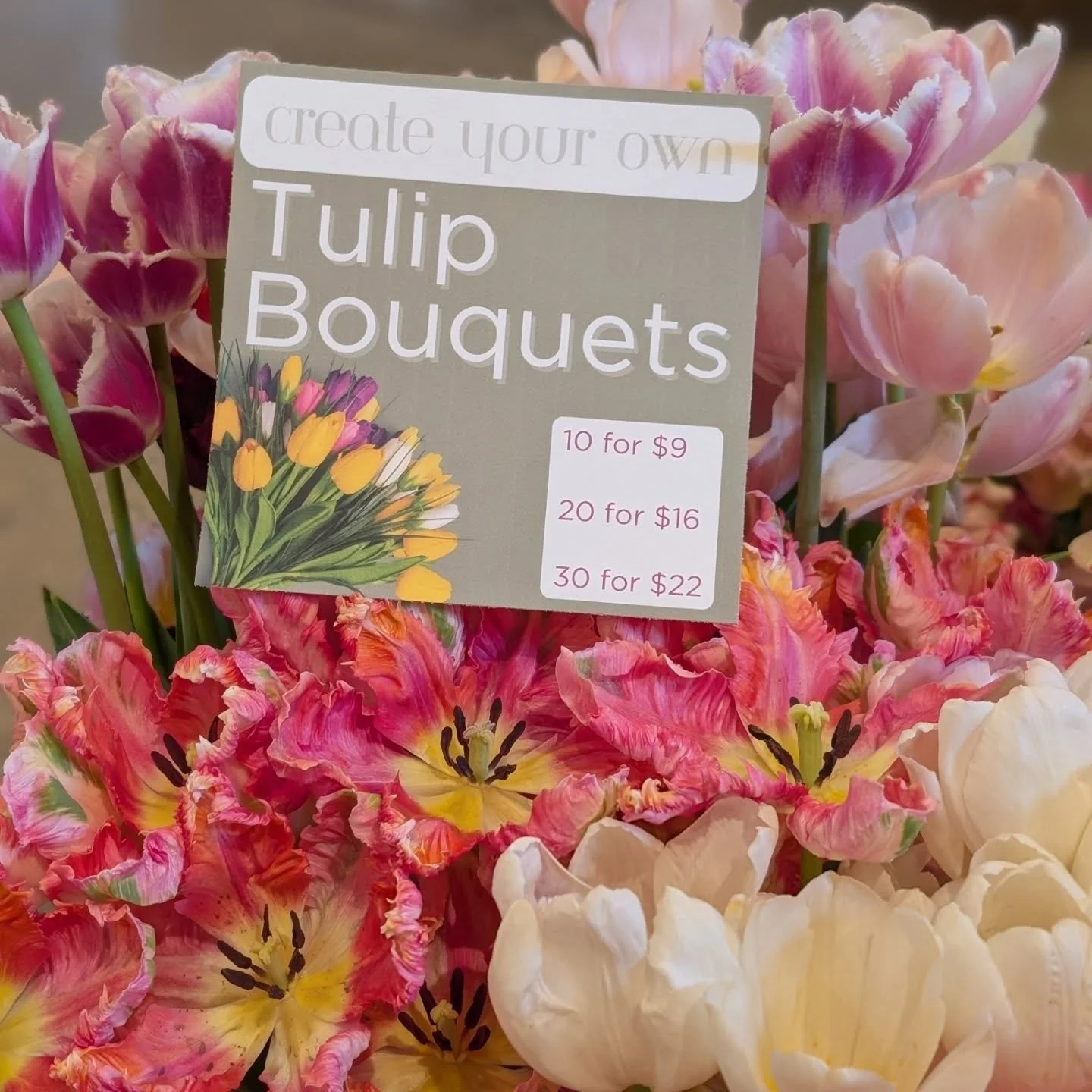 These tulips are jaw dropping