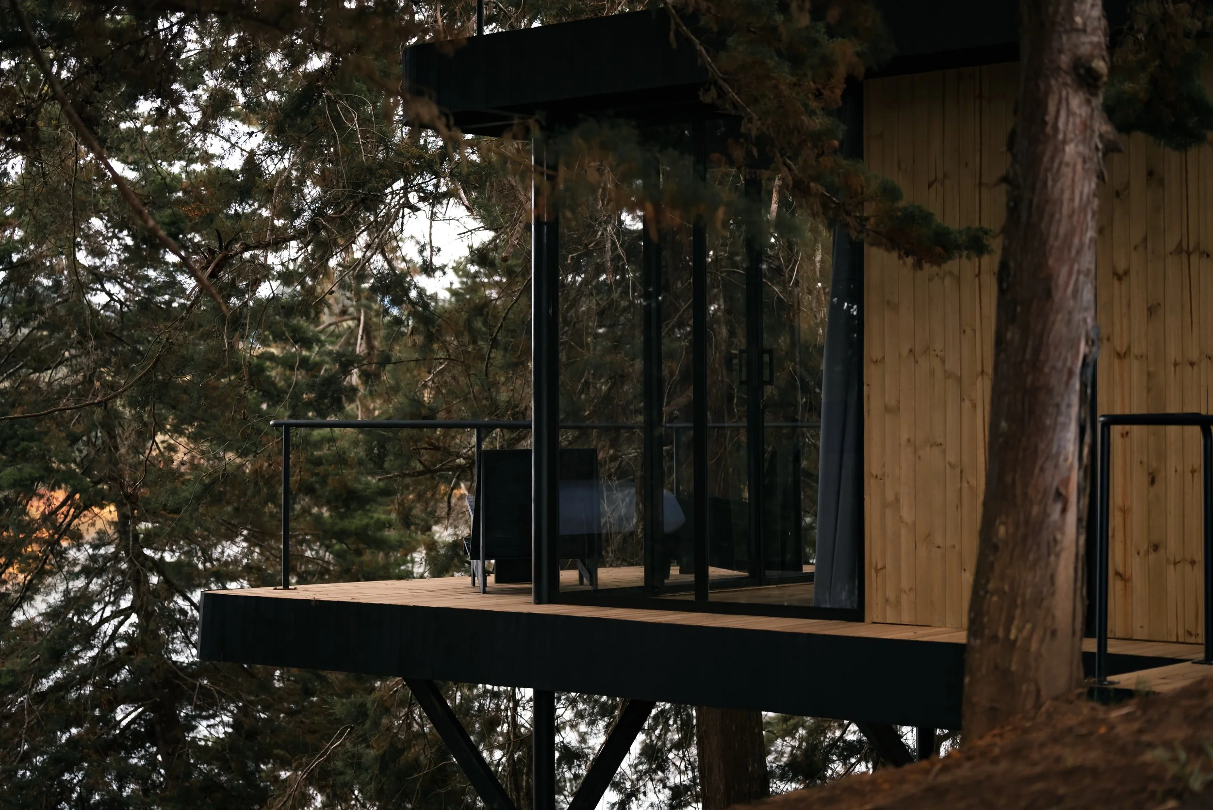 Una casa de árbol moderna con paredes de madera y paredes de cristal, ubicada entre árboles altos en un bosque.