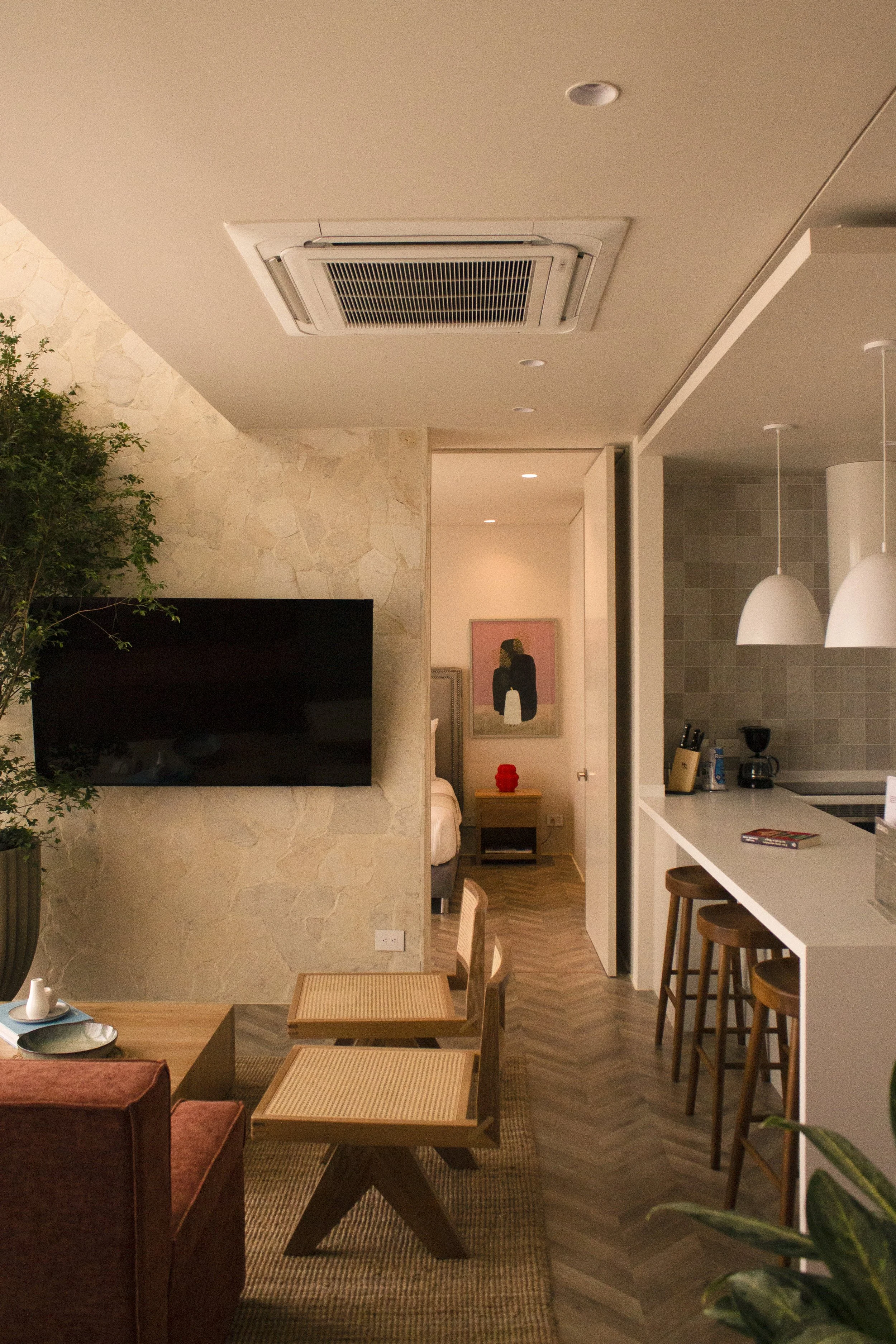 Interior de un apartamento con sala de estar, cocina y habitación en el fondo, decorado con plantas, cuadros y muebles de madera.