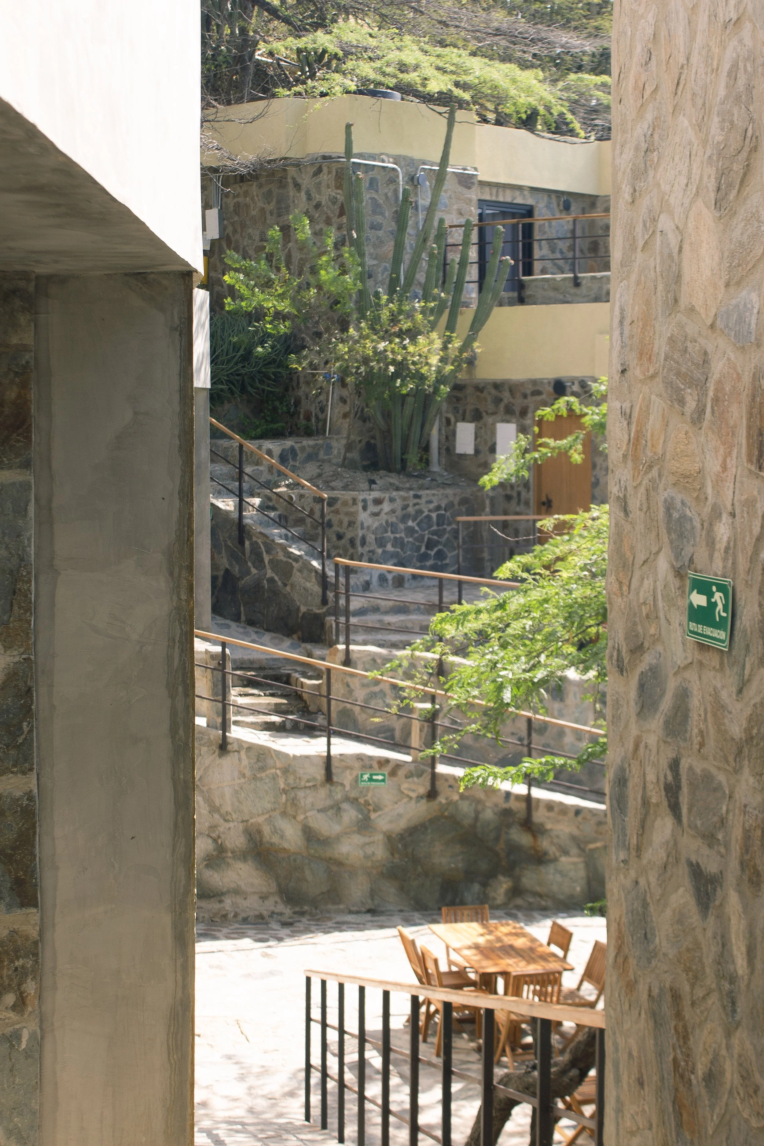 Pérgola con mesa y sillas de madera en un patio, paredes de piedra, escaleras con barandales, plantas verdes y un cactus grande en un entorno soleado.