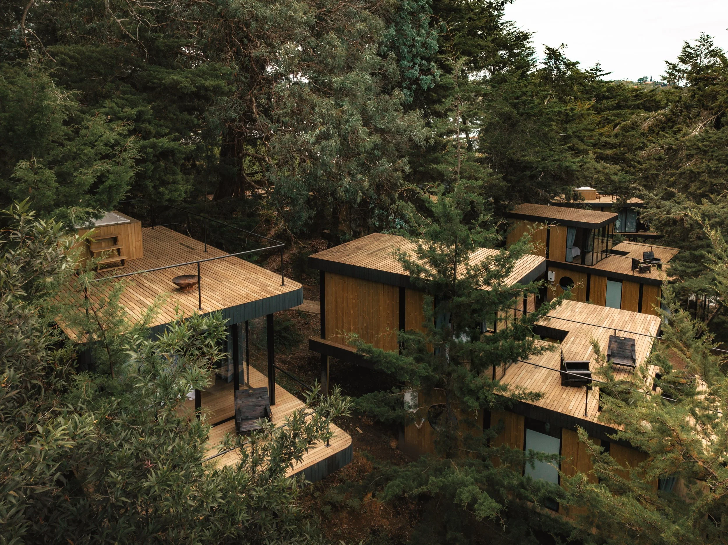 Conjunto de cabañas de madera en medio de bosques de pinos con techos planos y terrazas, rodeadas de árboles verdes