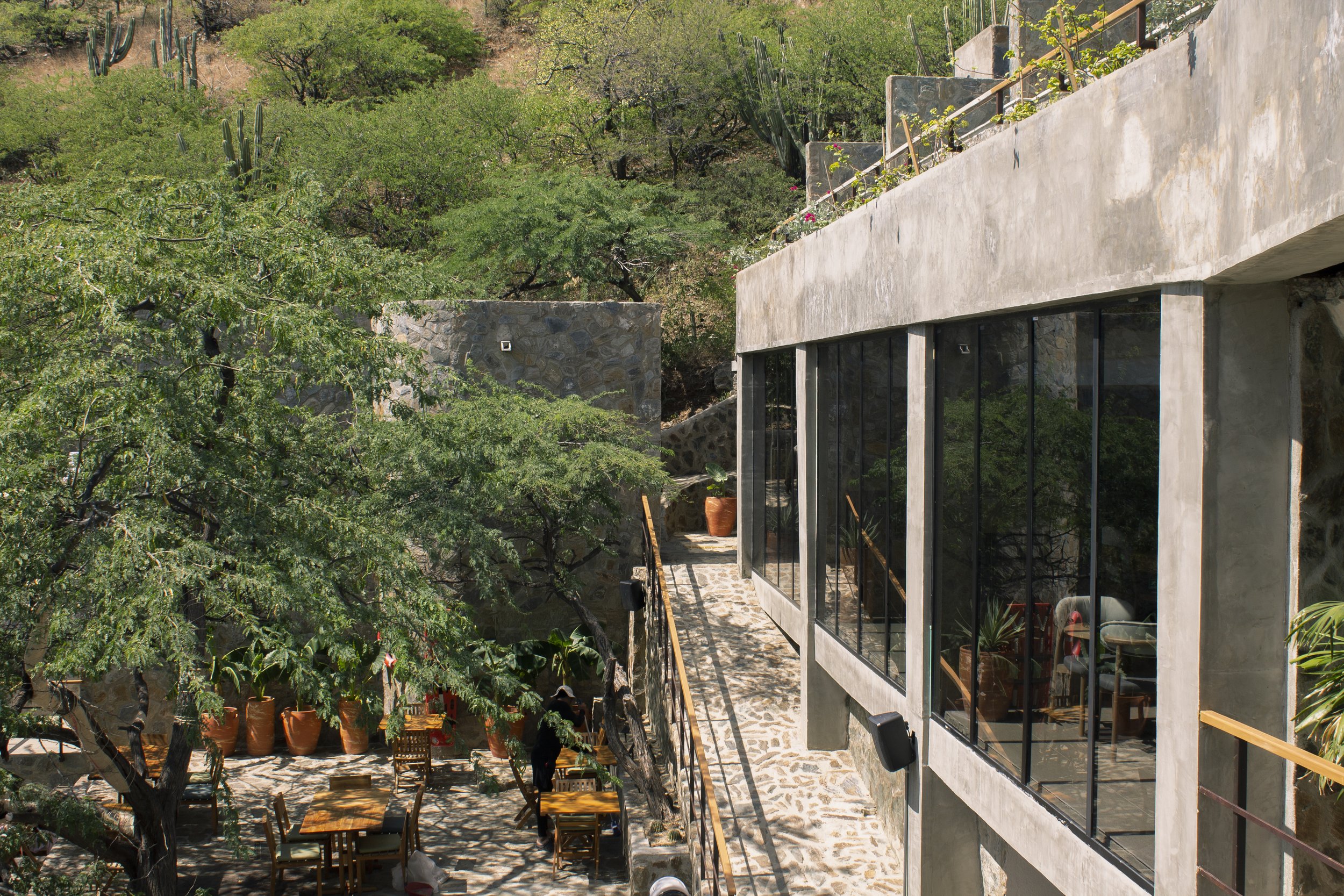 Vista de un edificio de concreto con amplias ventanas en un entorno natural con árboles y cactus, y un patio con mesas y sillas de madera.