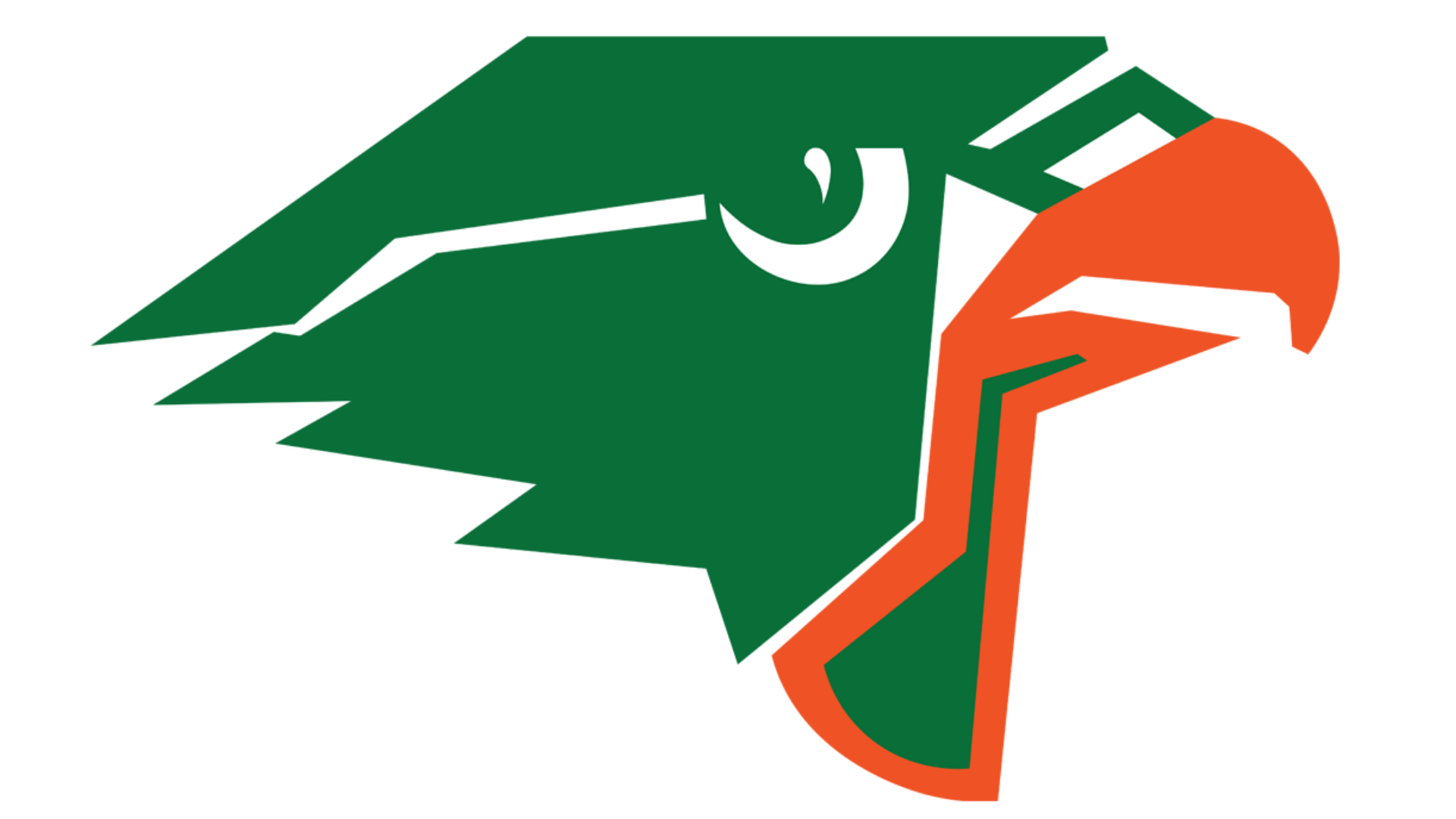 Harlingen South.png