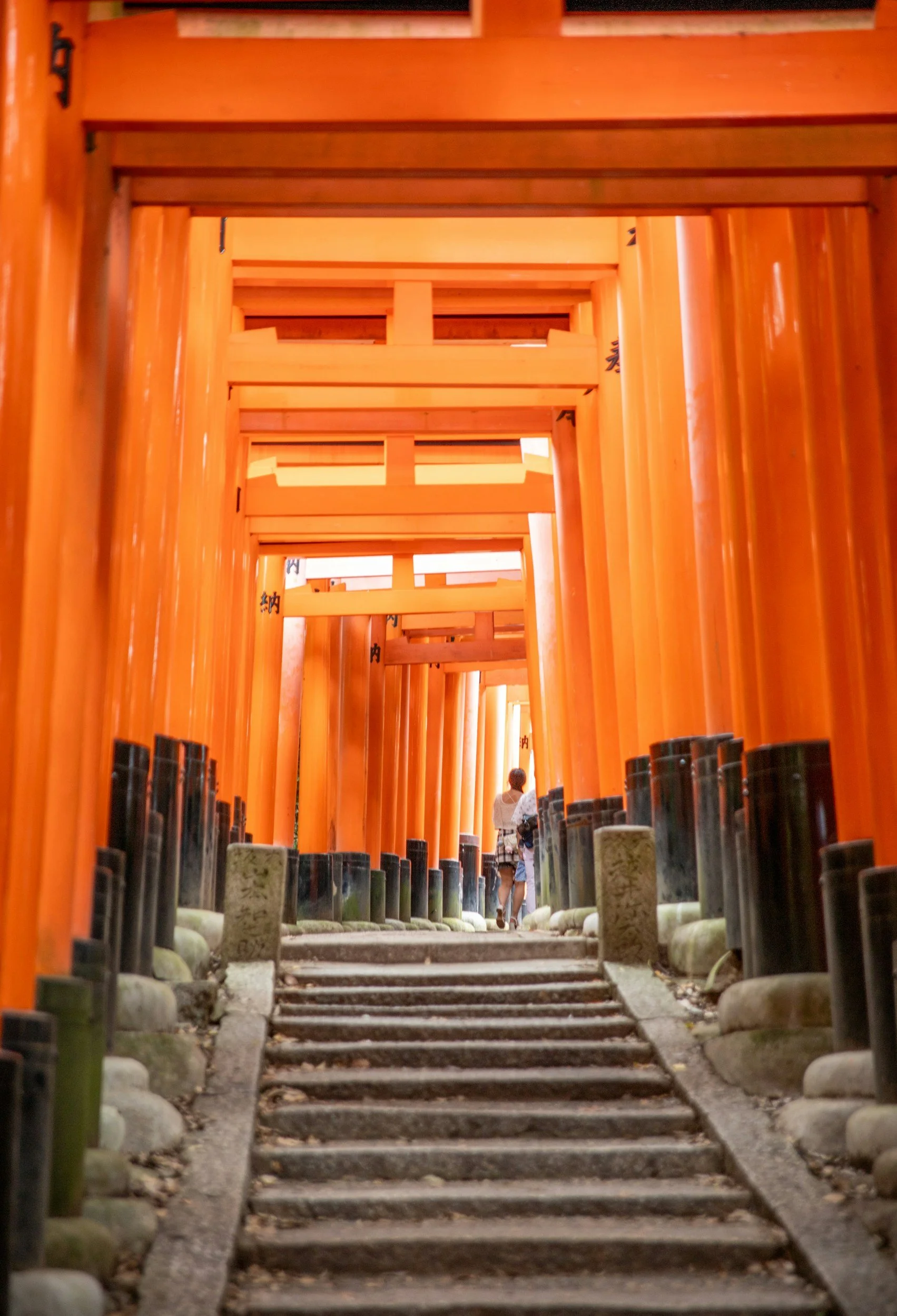 View of rows of orange torii gates at Fushimi Inari Shrine in Kyoto, Japan, with visitors walking through the pathway.