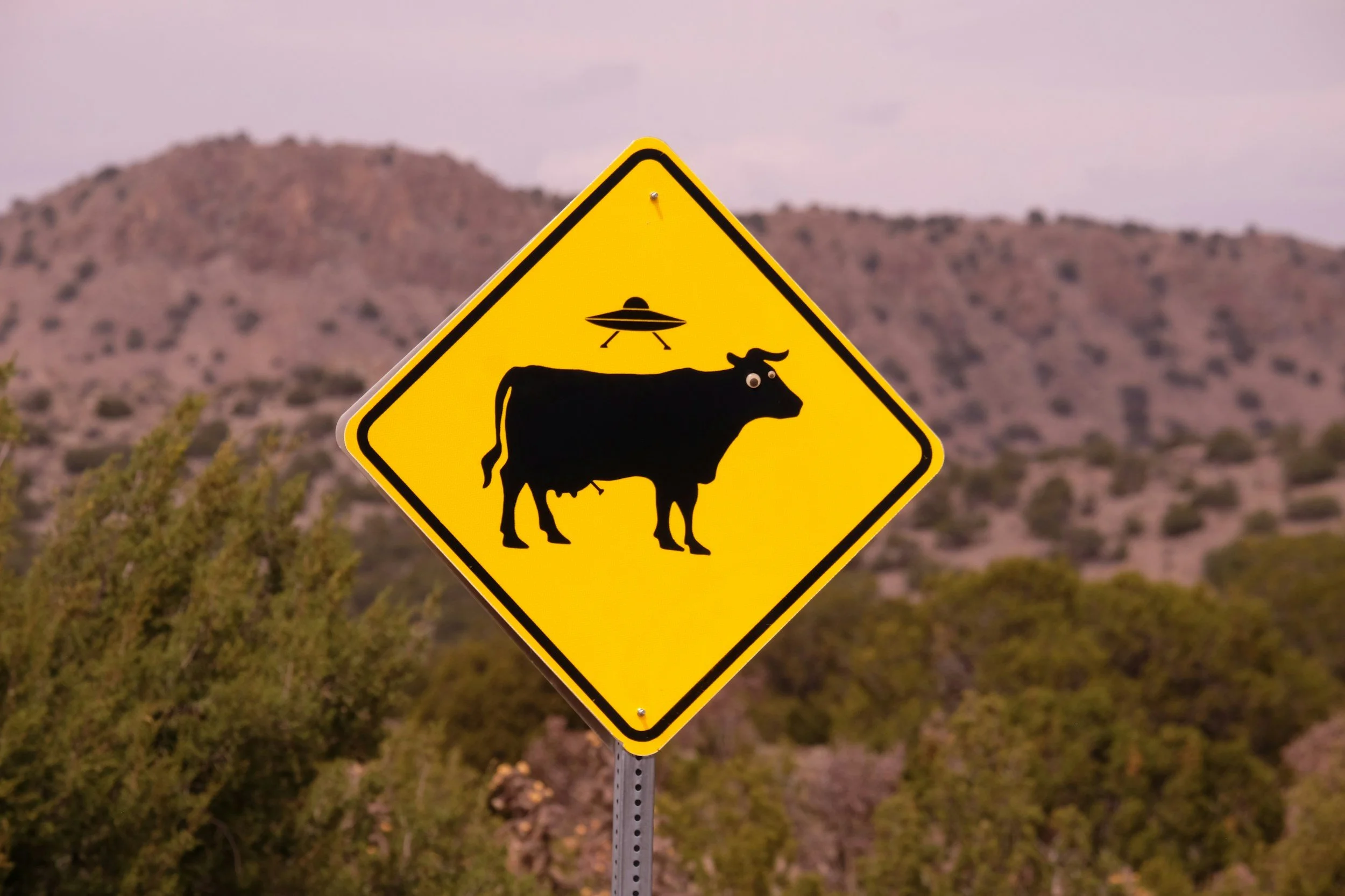 Humorous yellow warning sign with a black cow silhouette, googly eyes, and a flying saucer above, set against a desert landscape with hills and sparse vegetation.