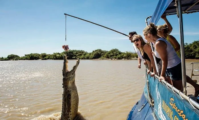 Three women on a boat observing a large alligator caught in the water during a fishing trip.