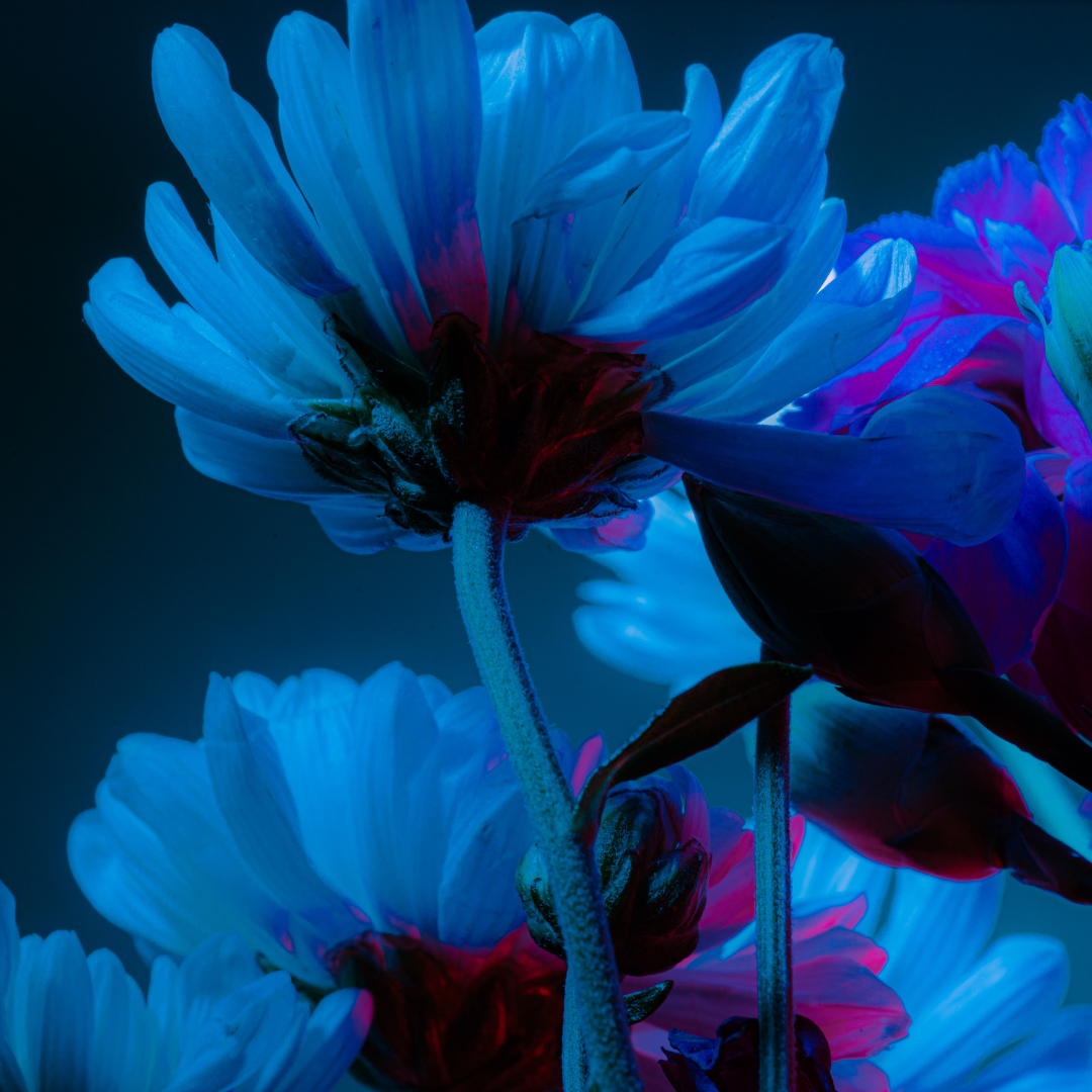 Welcome to The Flow: A Place for What Is Still Becoming