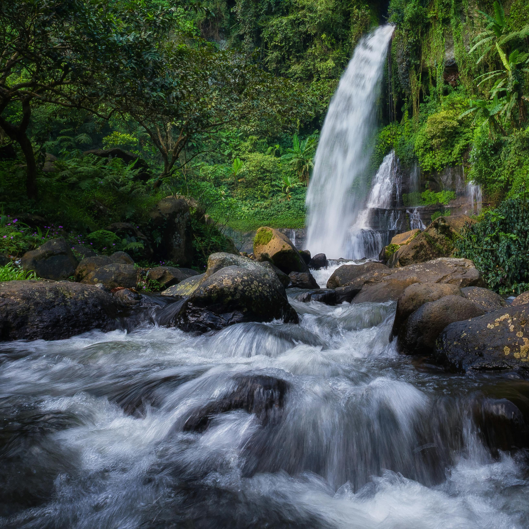Welcome to The Flow: A Place for What Is Still Becoming