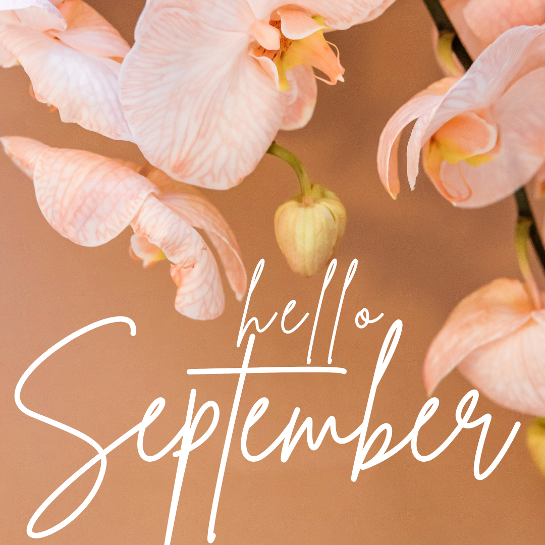 SEPTEMBER: Becoming Aligned Through Change