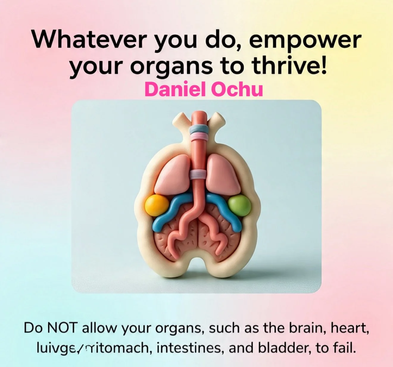 A Complete Guide On How To Empower Your Vital Organs