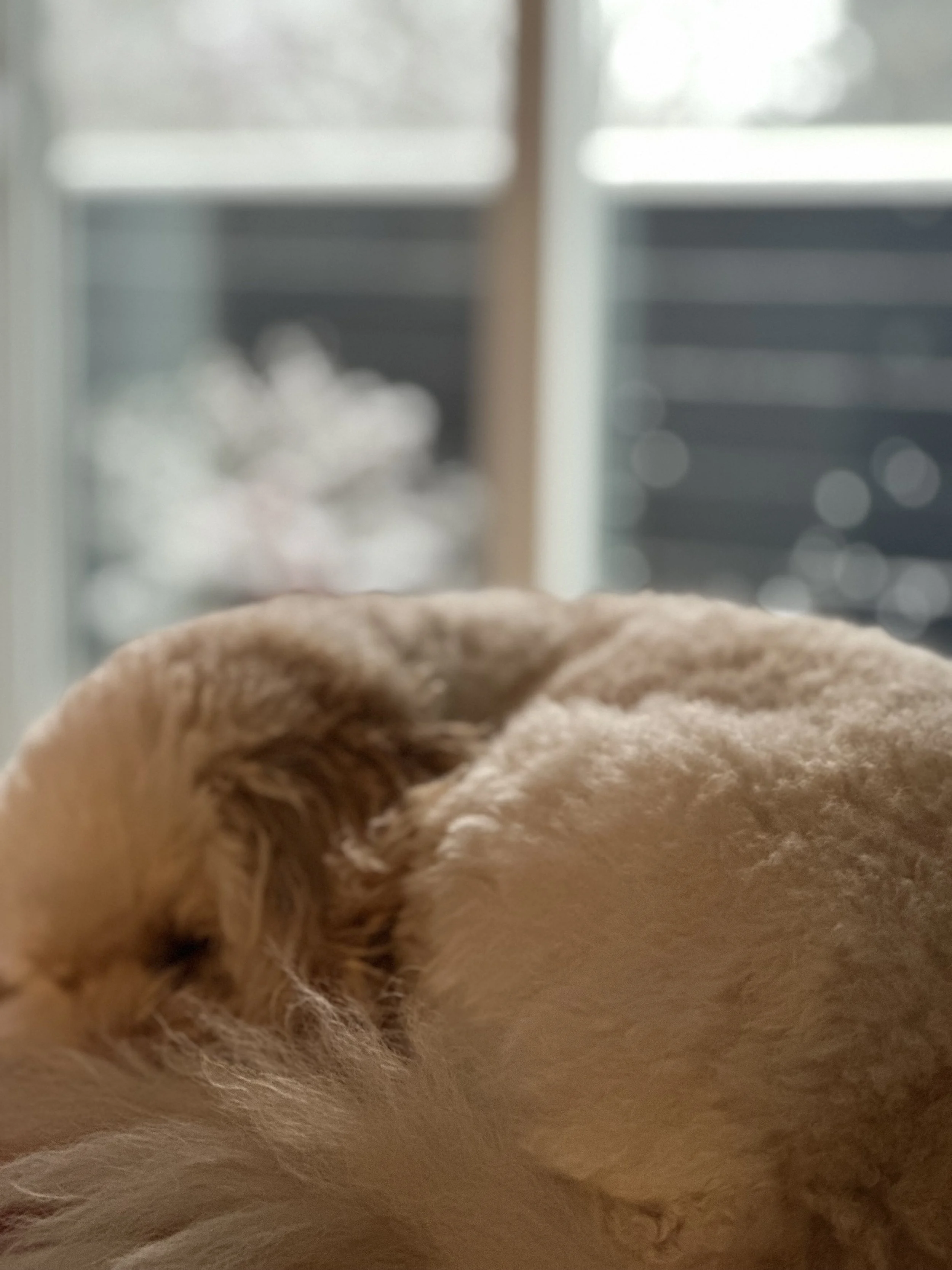 Align with the Season - Winter