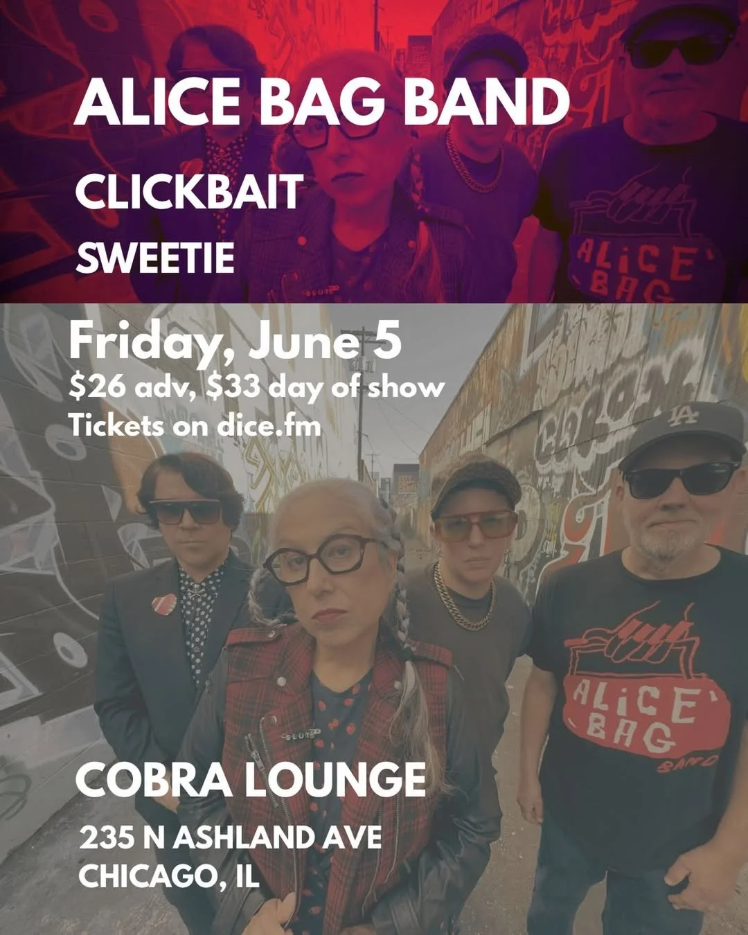 THE ALICE BAG BAND AT COBRA LONGE