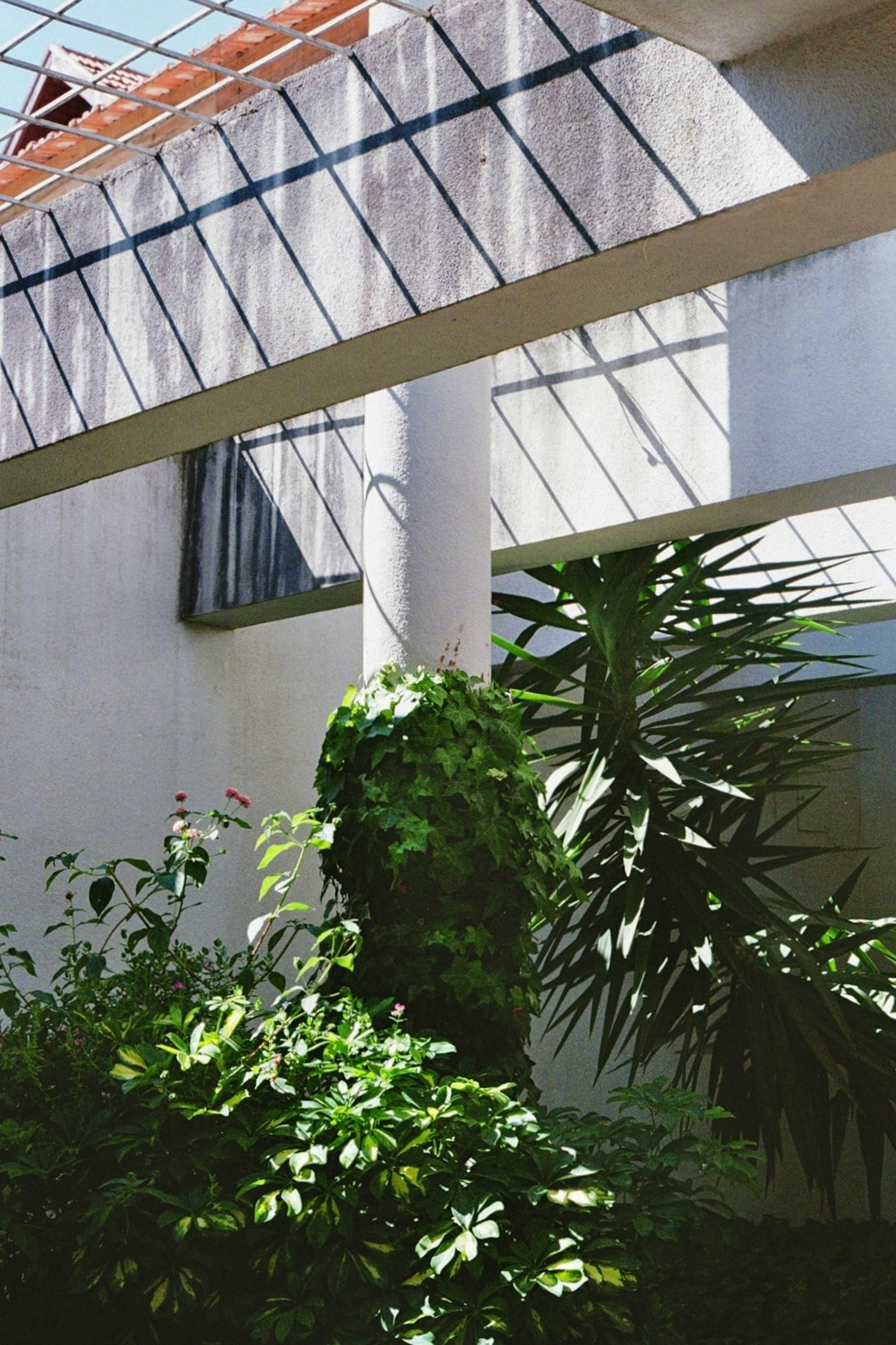 Sustainability Nonprofits List - United States - #1