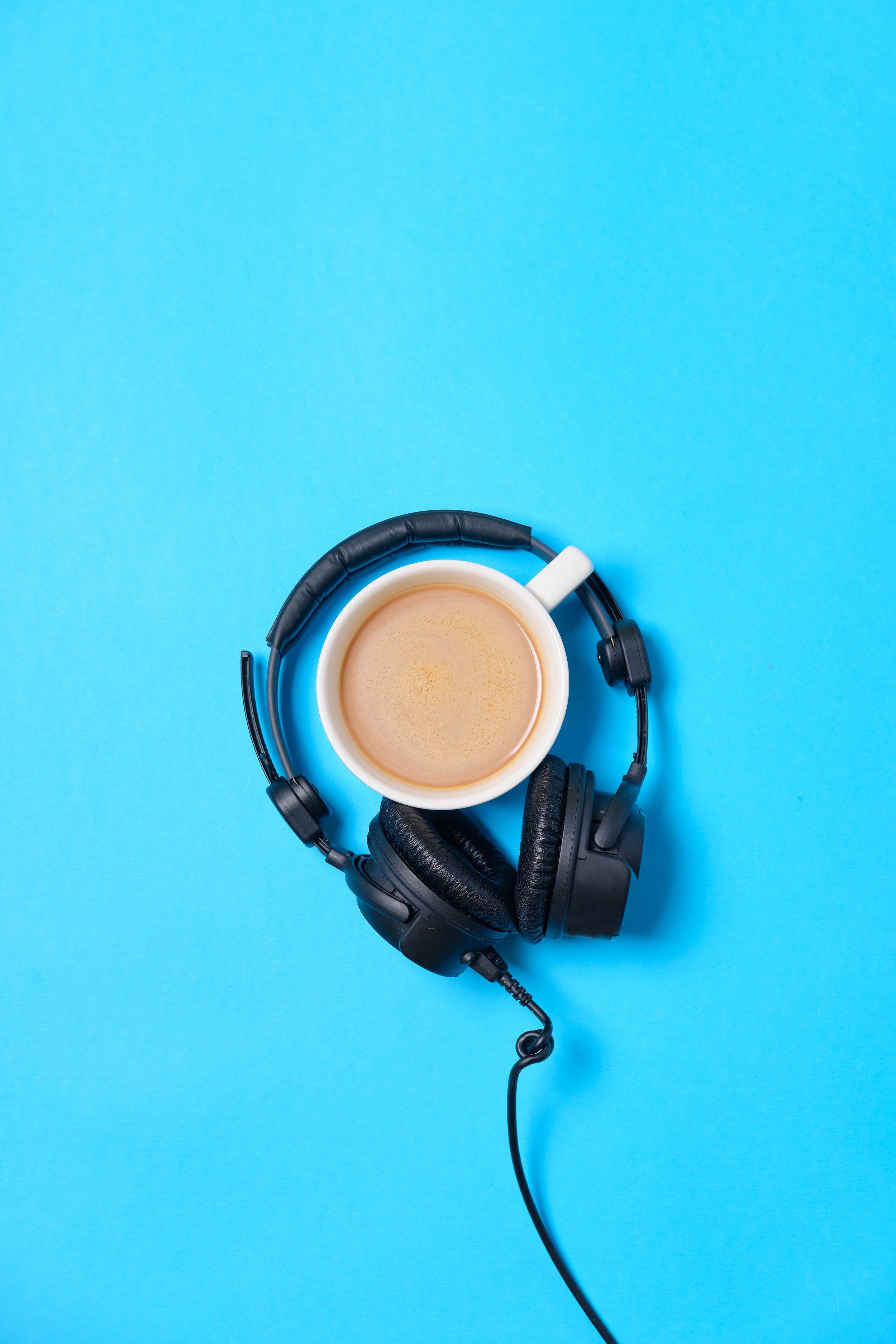 Sustainability Podcast List