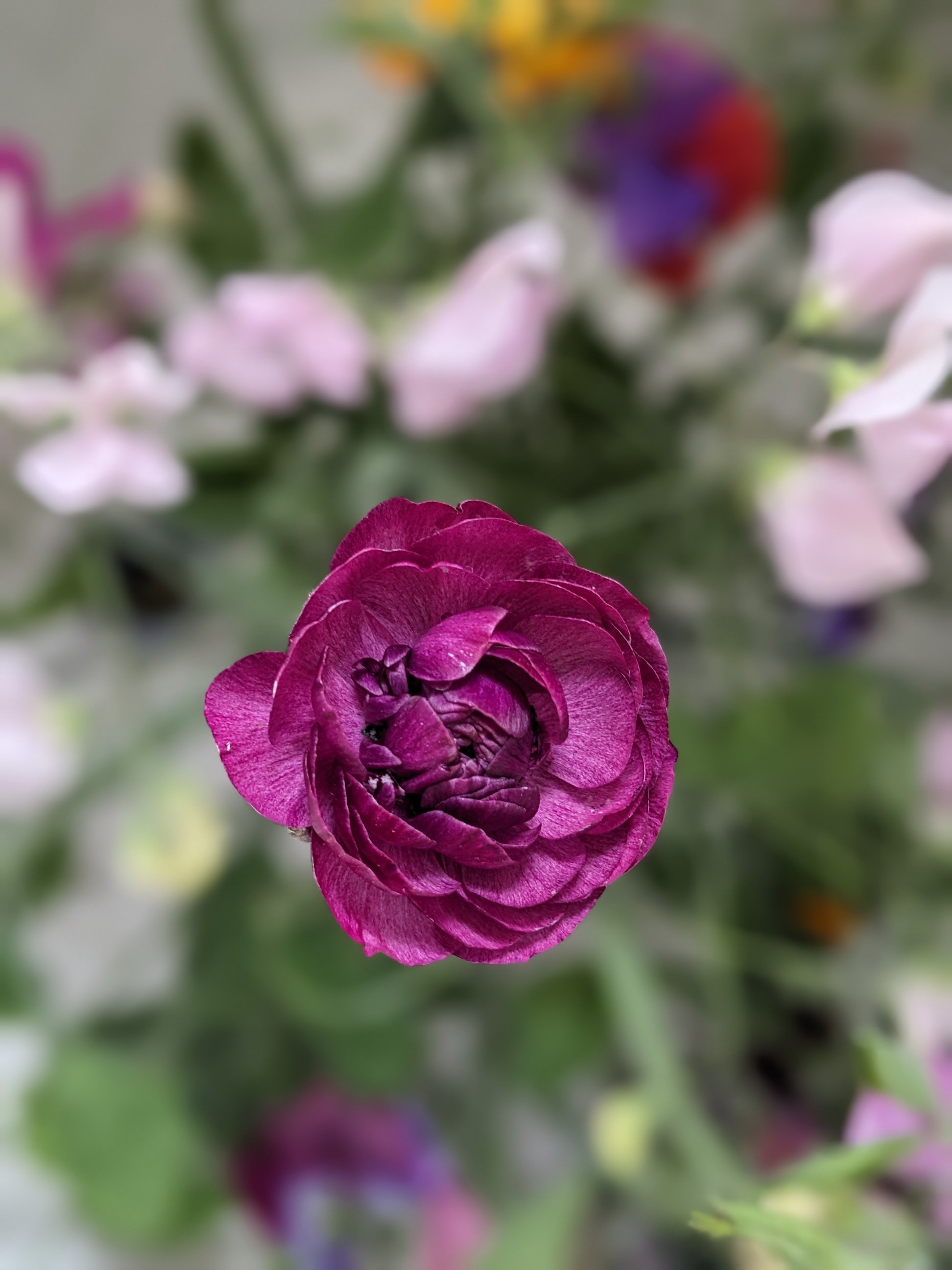 monthly bouquet