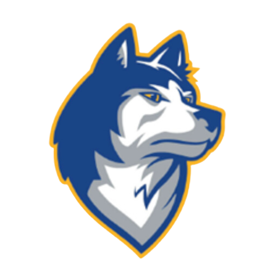Bigfork School Logo of a stylized husky dog in blue, white, and gray with a yellow outline.