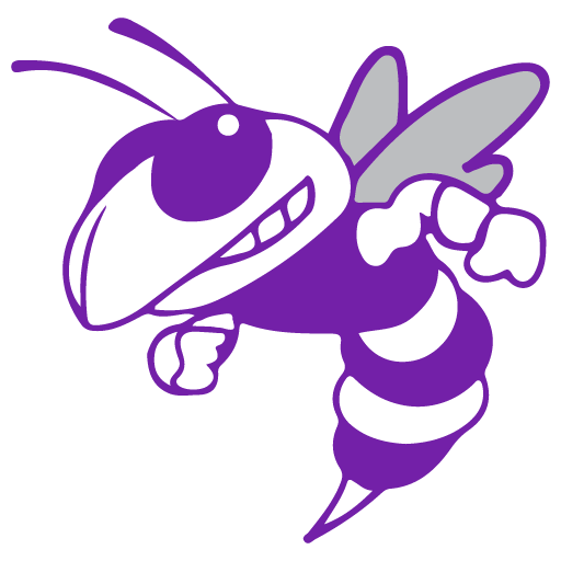 Hill City School logo featuring a stylized hornet in purple white and grey