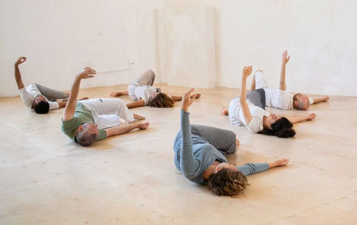 Intro to Somatic Neuromuscular Release & Repatterning