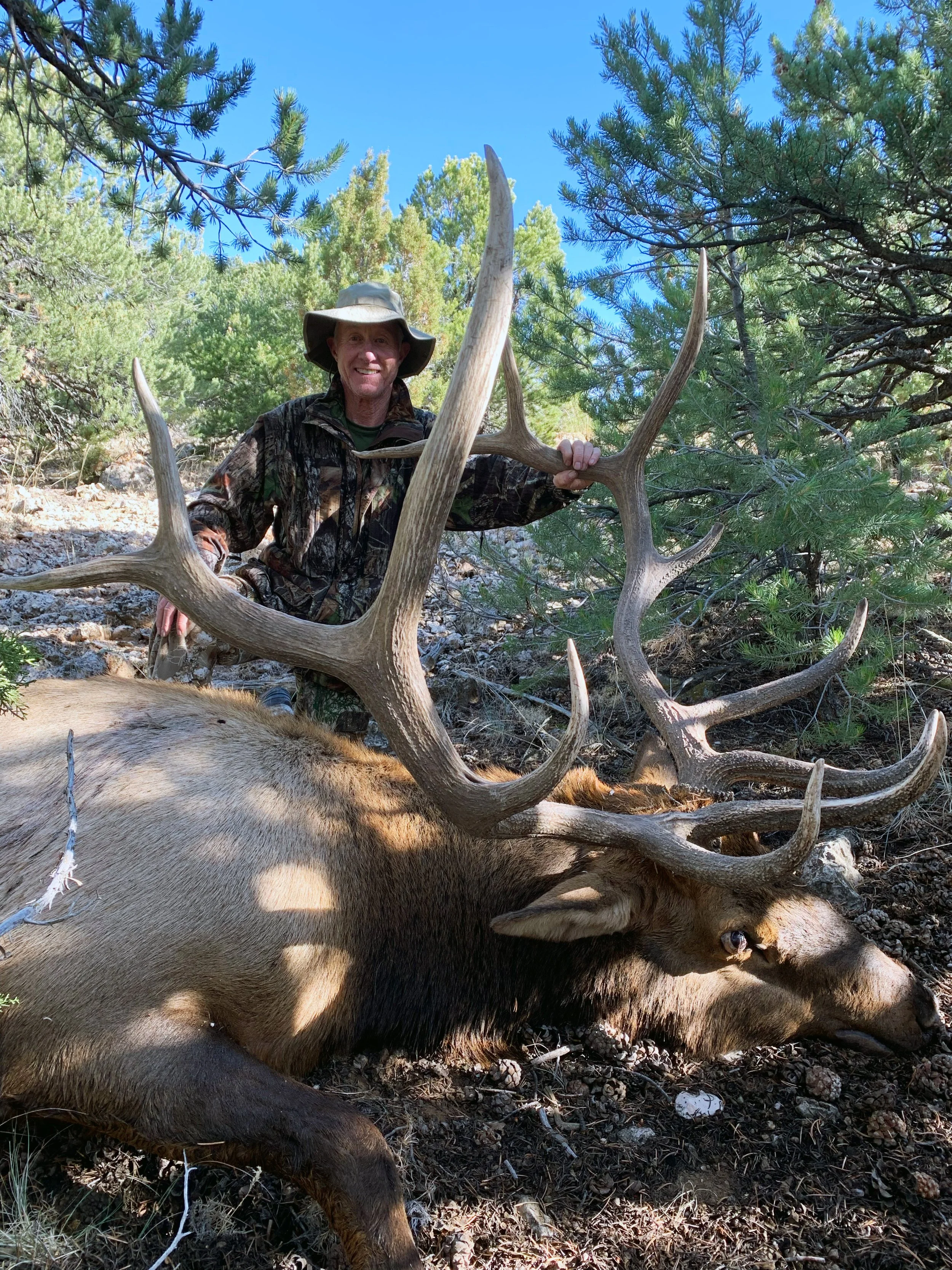 big_bull_2.jpg