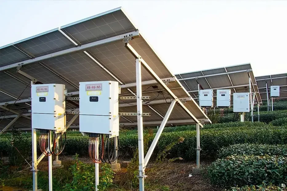 Solar panels installed on a hillside, surrounded by lush bushes and trees under a clear blue sky.