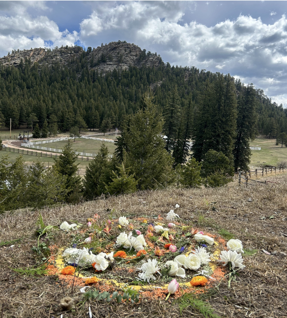 Screenshot 2026-01-12 at 8.13.54 PM.png