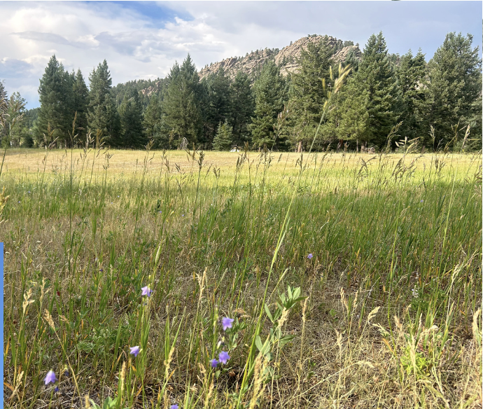 Screenshot 2026-01-12 at 8.14.10 PM.png