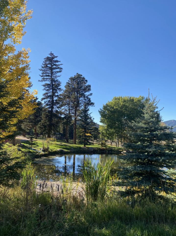 Screenshot 2026-01-12 at 8.21.57 PM.png