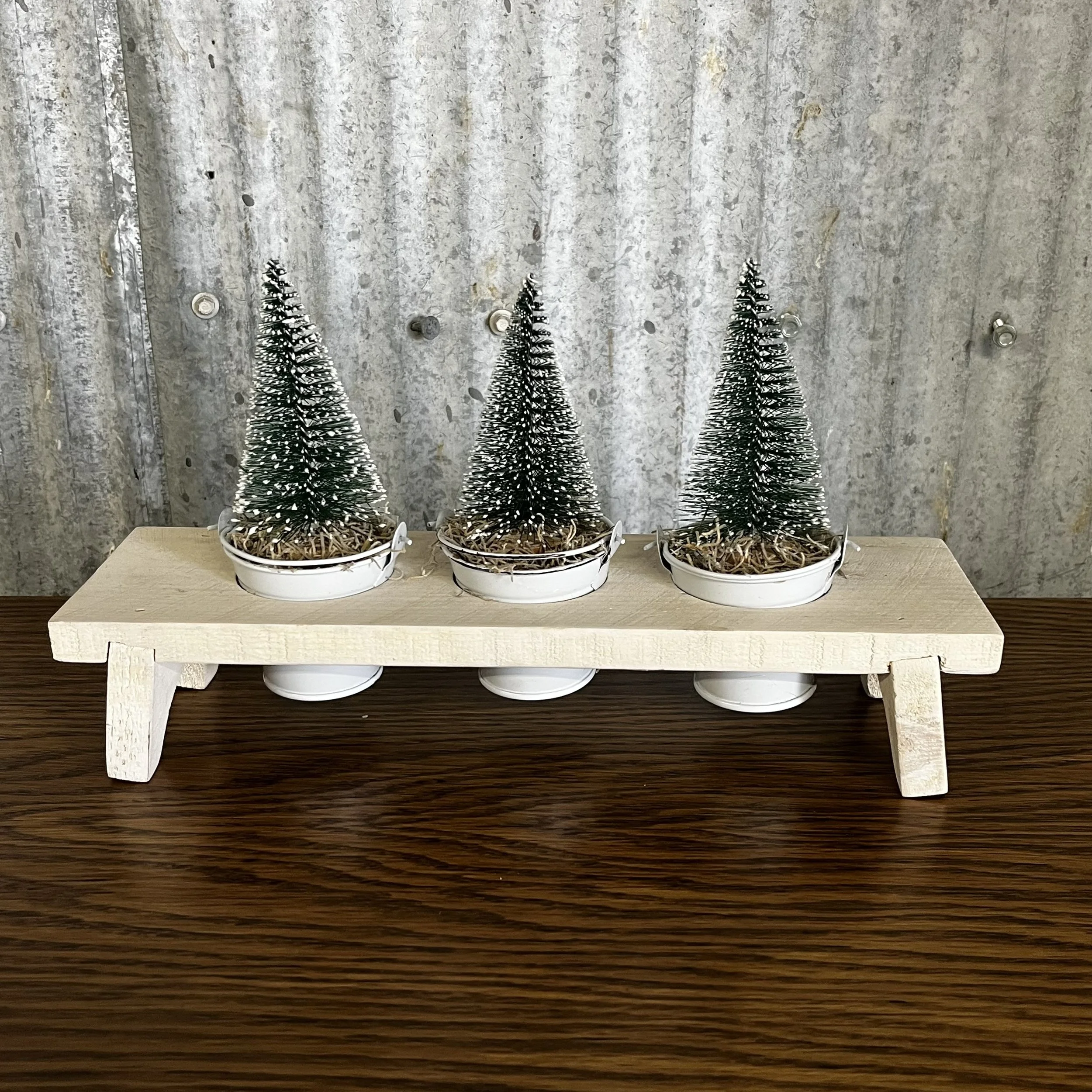 Bottle Brush Trees in Buckets