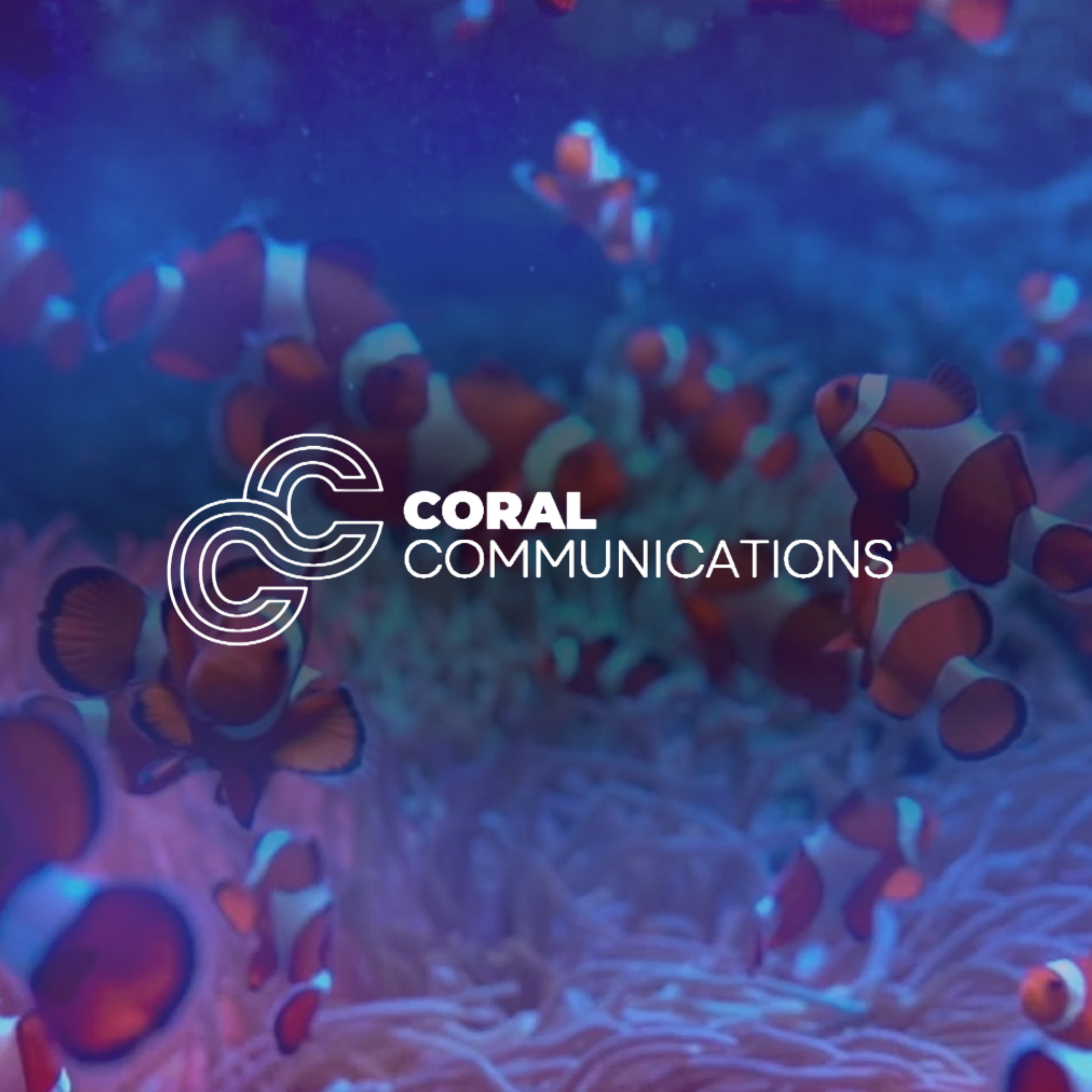 Meet Our New Member: Coral Communications 