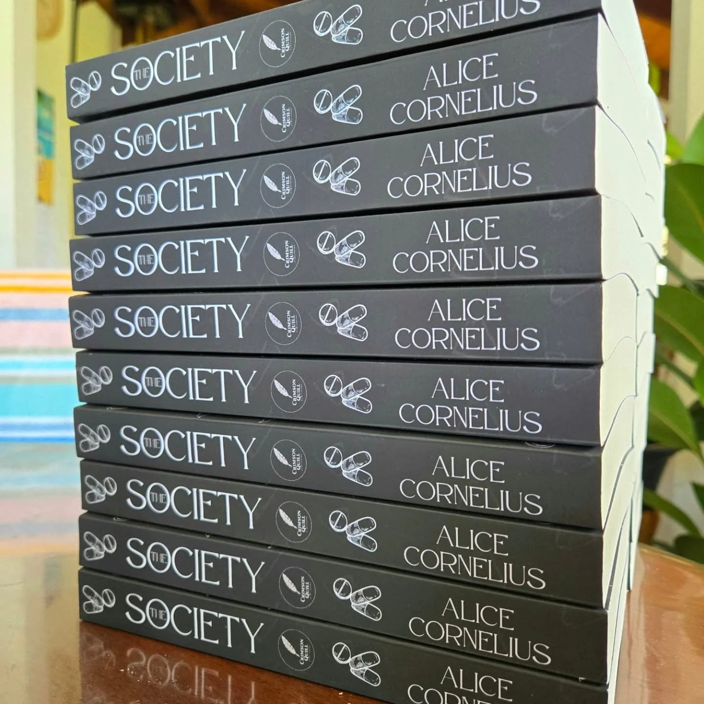 The Society is very close to my heart. I wrote it about five years ago, the story staying long in my head before being written on paper. It's been through a bunch of edits, with the help of my wonderful Aunty Cindy. This is the first book I've writte