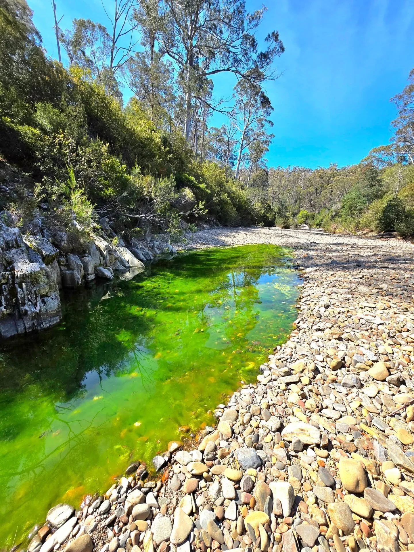 🟩🟢📗🍏🥬💚♻️🐍⛳️🍃🌱🍀🤢🌲🌿 (trying to find all my green emoji's cause there ain't one for slime!)