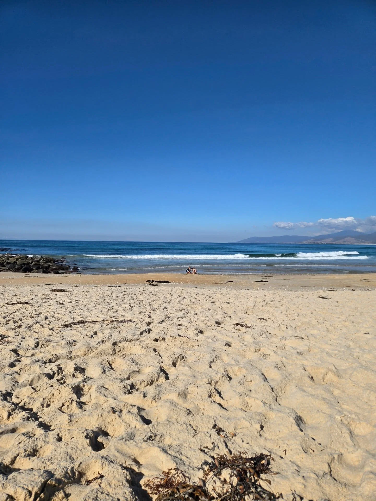 Gorgeous days down the beach. Even Neil the seal popped in to say hi.