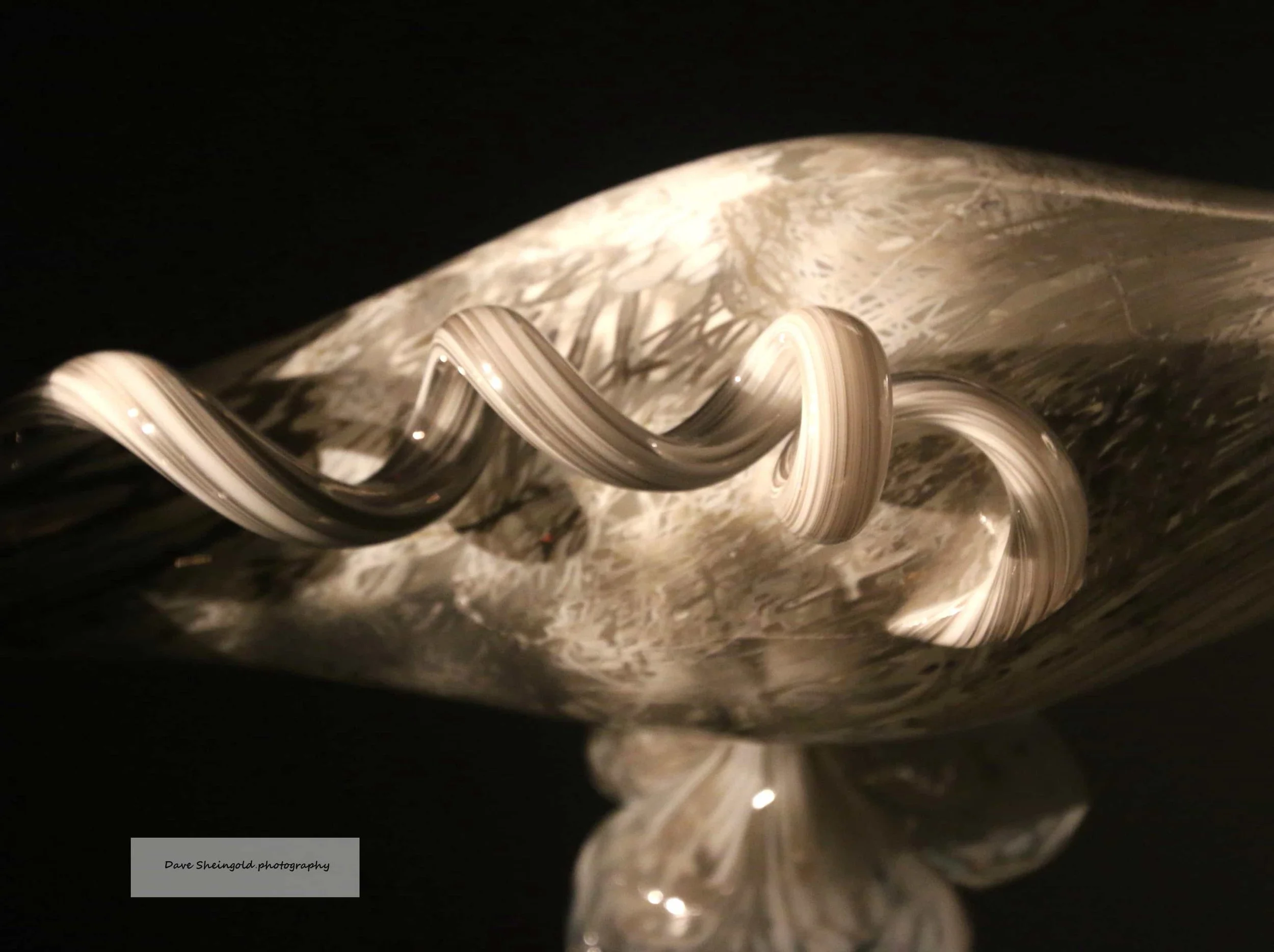 Chihully Garden and Glass museum, Seattle, WA