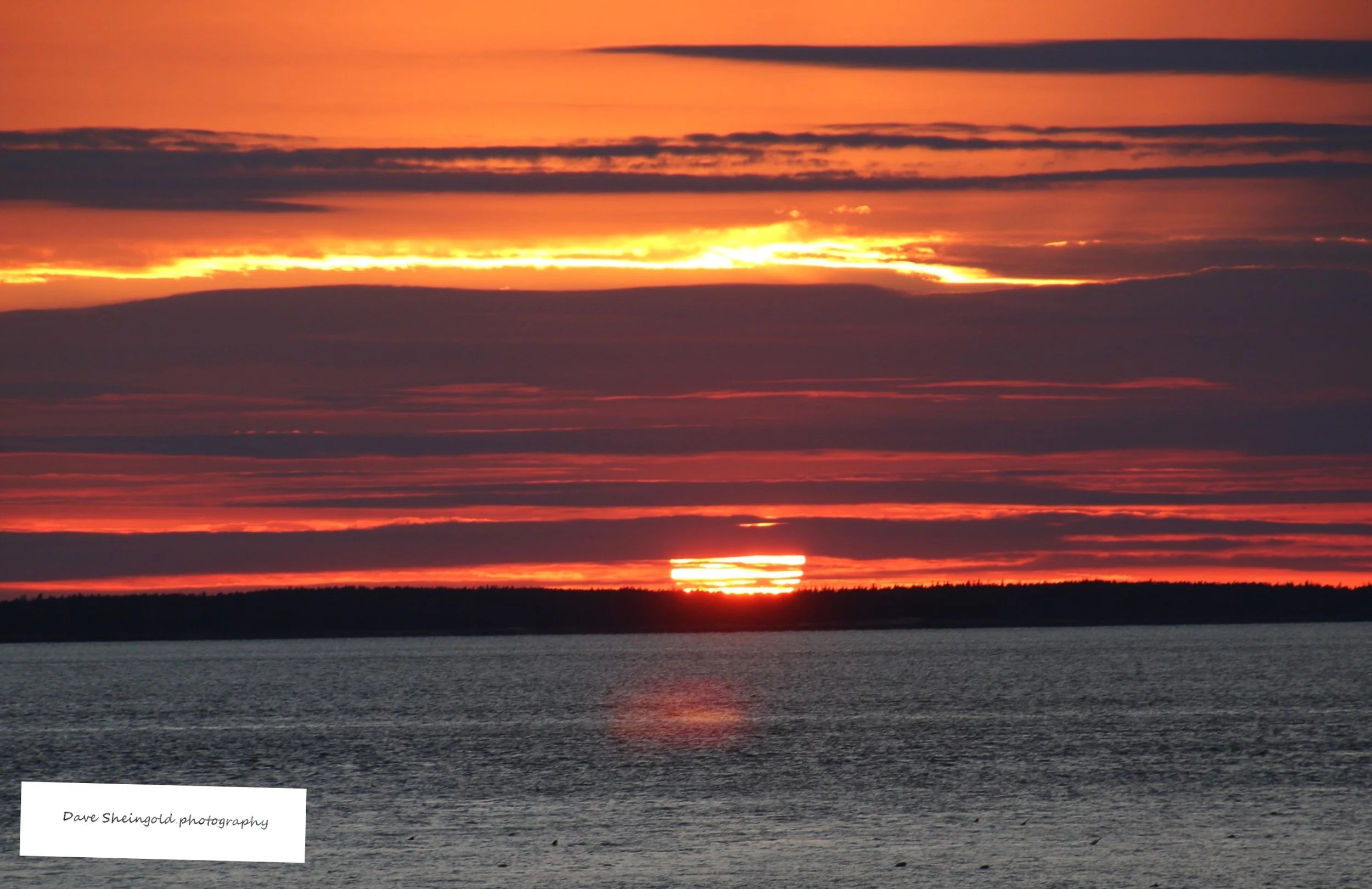 Maine sunset - Seal Cove