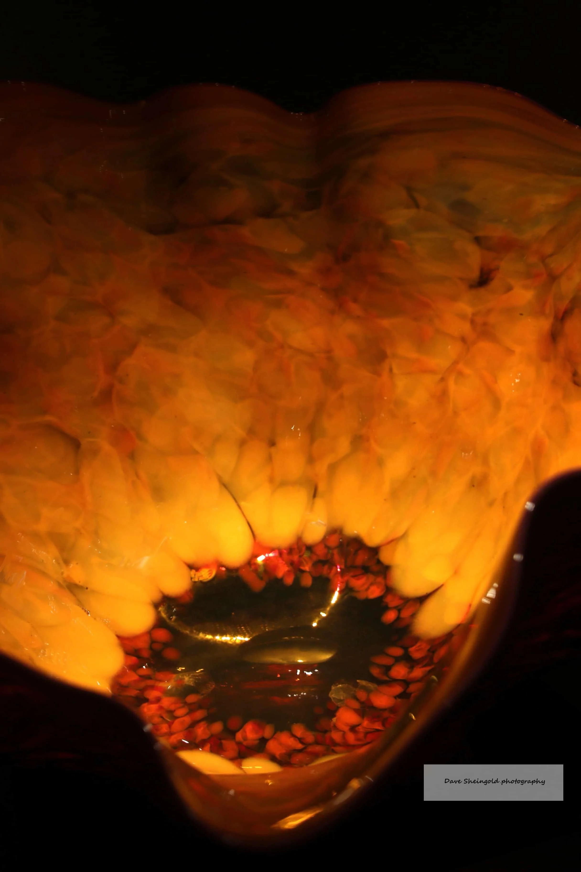 Chihully Garden and Glass museum, Seattle, WA