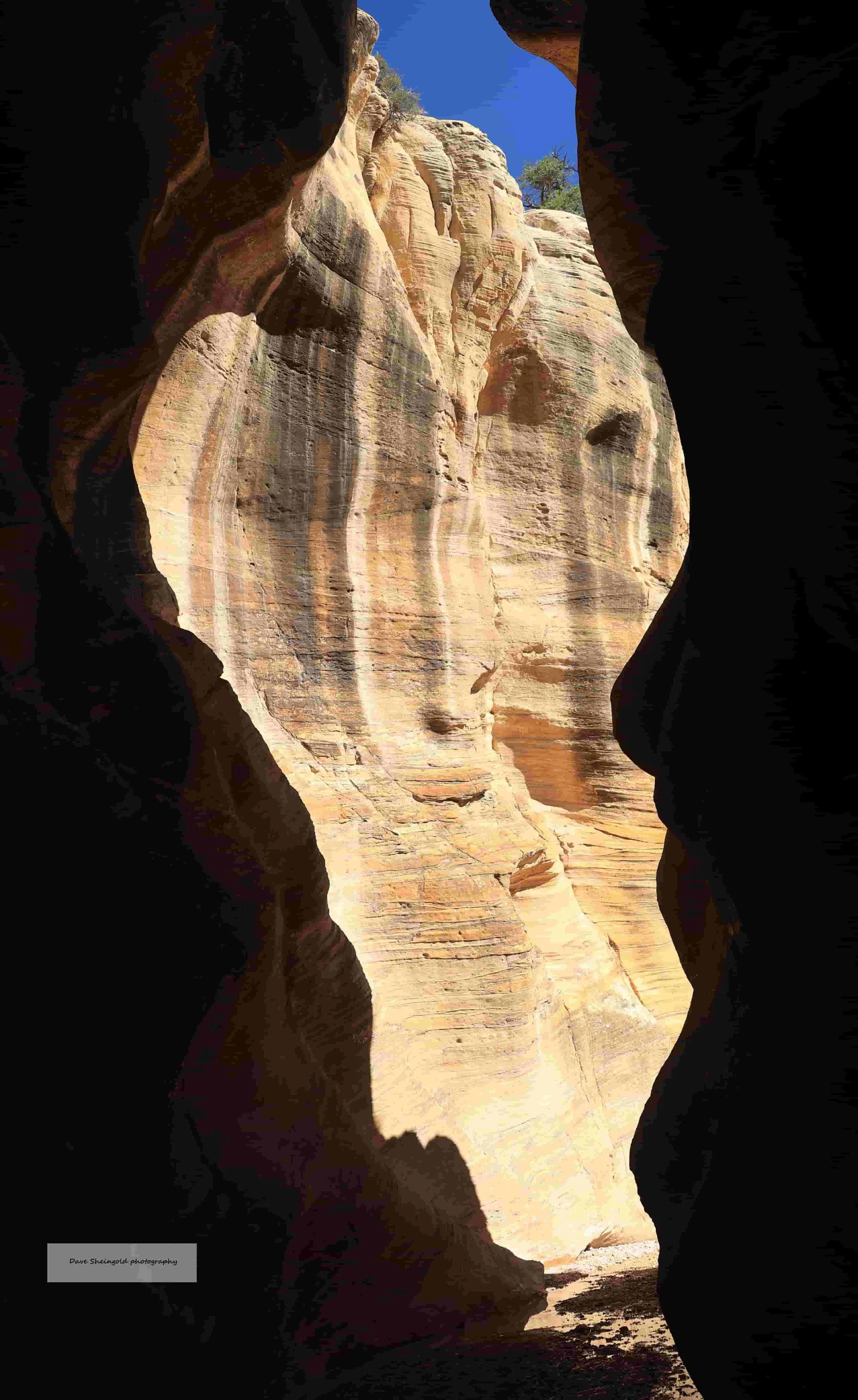 Willis Creek slot canyon, Grand Staircase Escalante National Monument, Utah