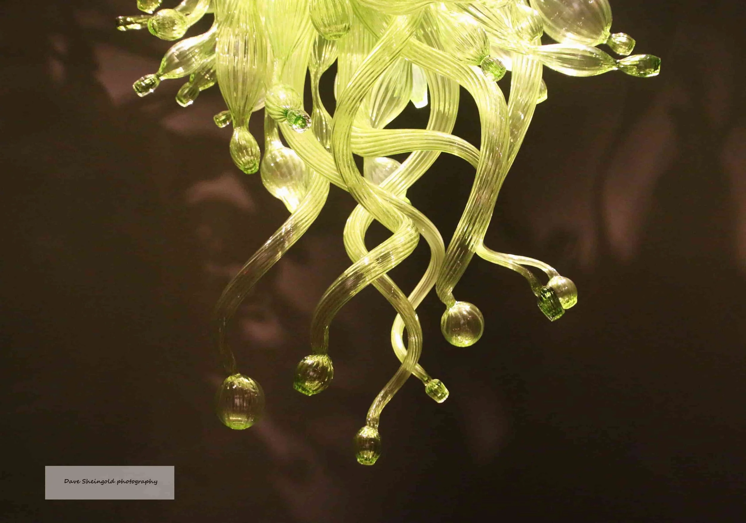 Chihully Garden and Glass museum, Seattle, WA