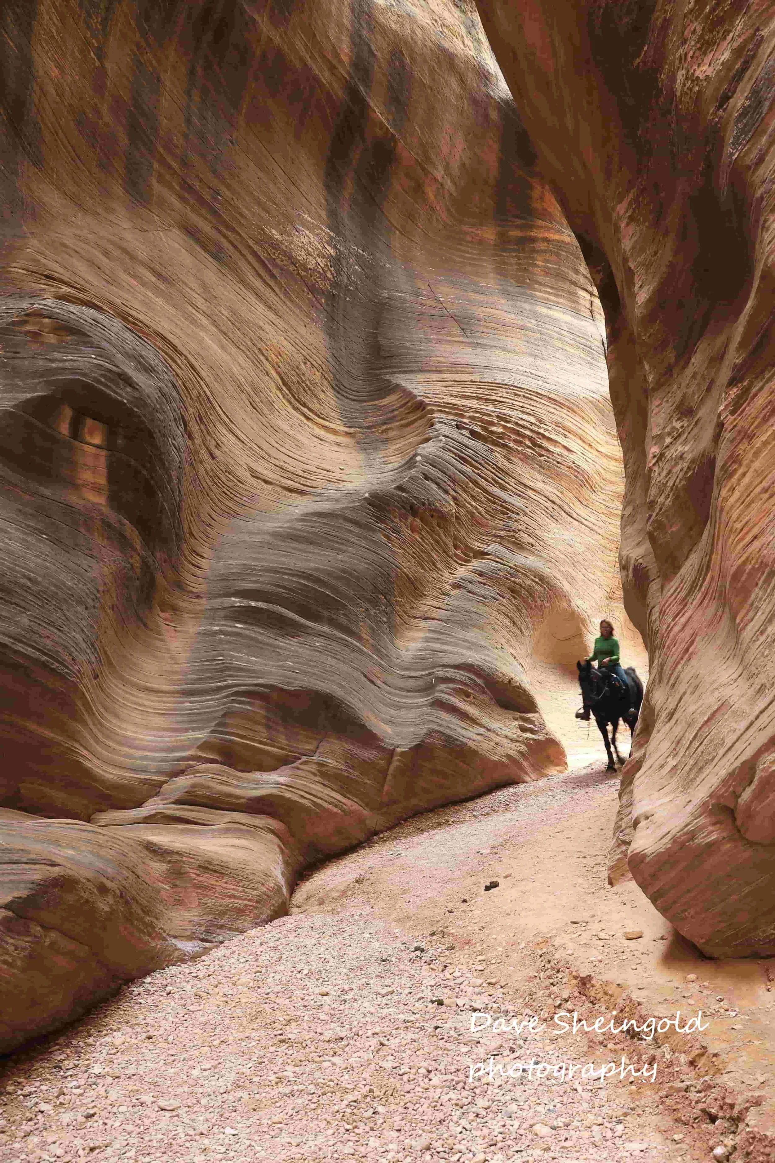 Willis Creek slot canyon, Grand Staircase Escalante National Monument, Utah